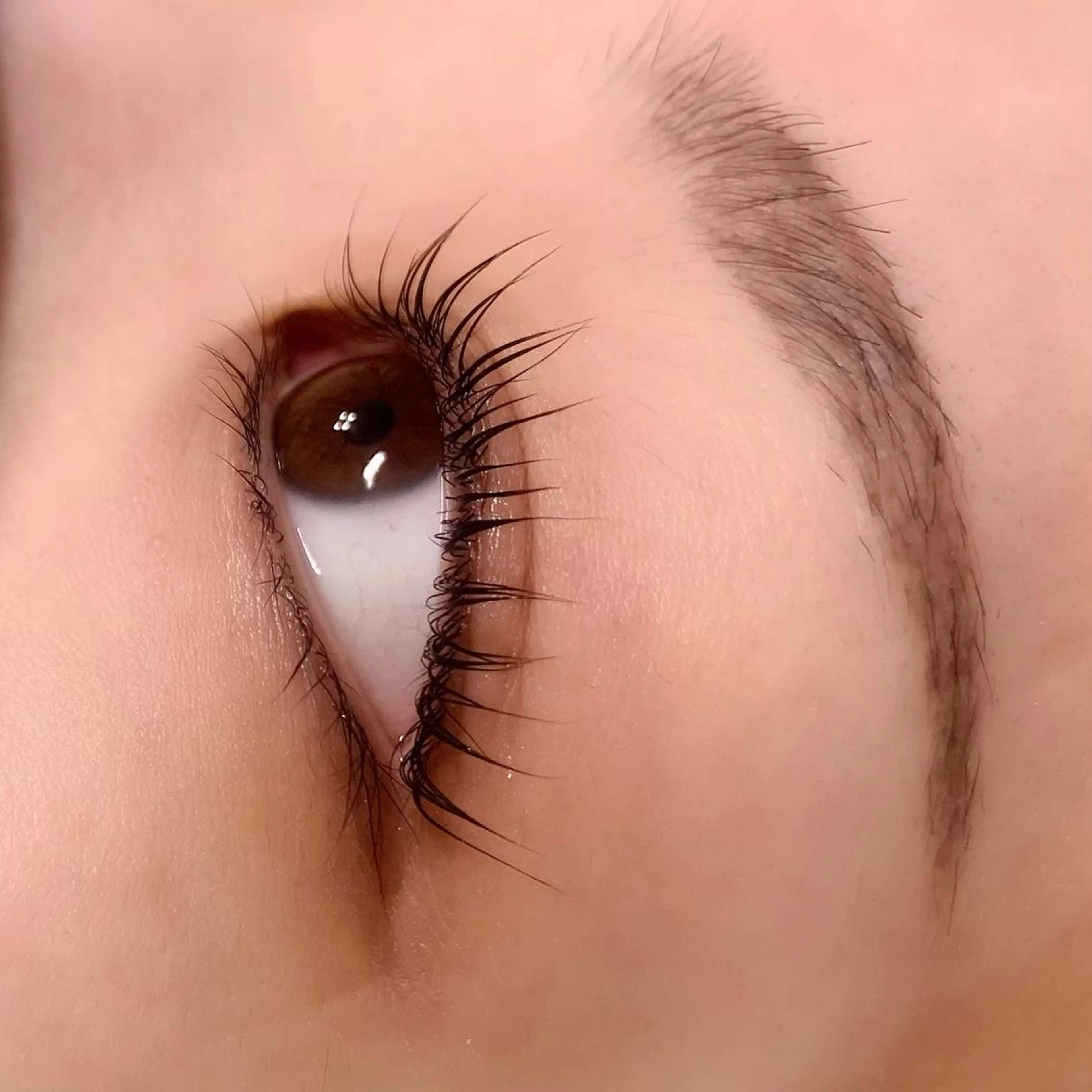 マツエク・マツパ 🧸Celeste Venusのマツエク・マツパデザイン