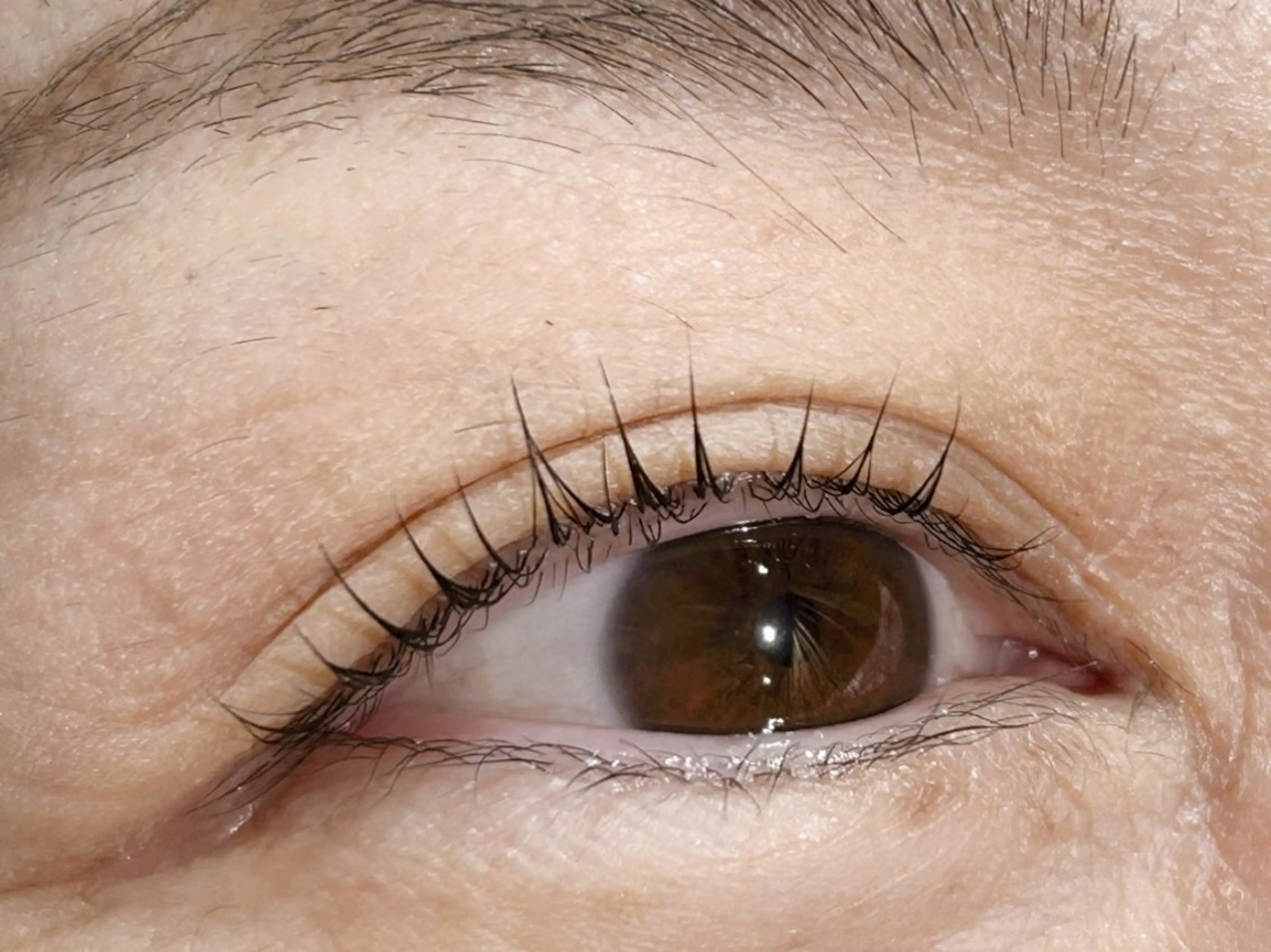 マツエク・マツパ マツパ 田中 貴子のマツエク・マツパデザイン