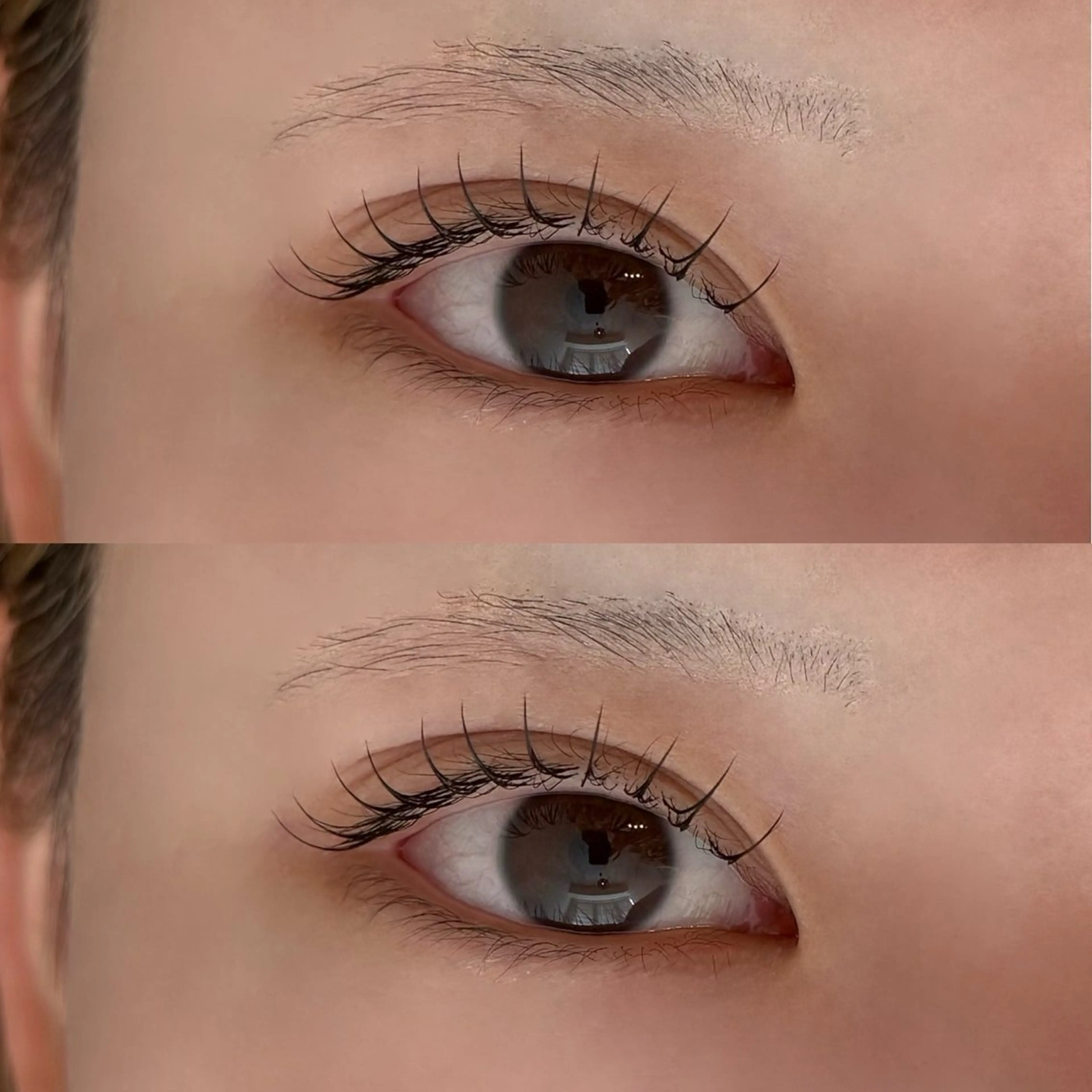 マツエク・マツパ フラットラッシュ マツエク 🐾ROAR🐾 HAZUKIのマツエク・マツパデザイン