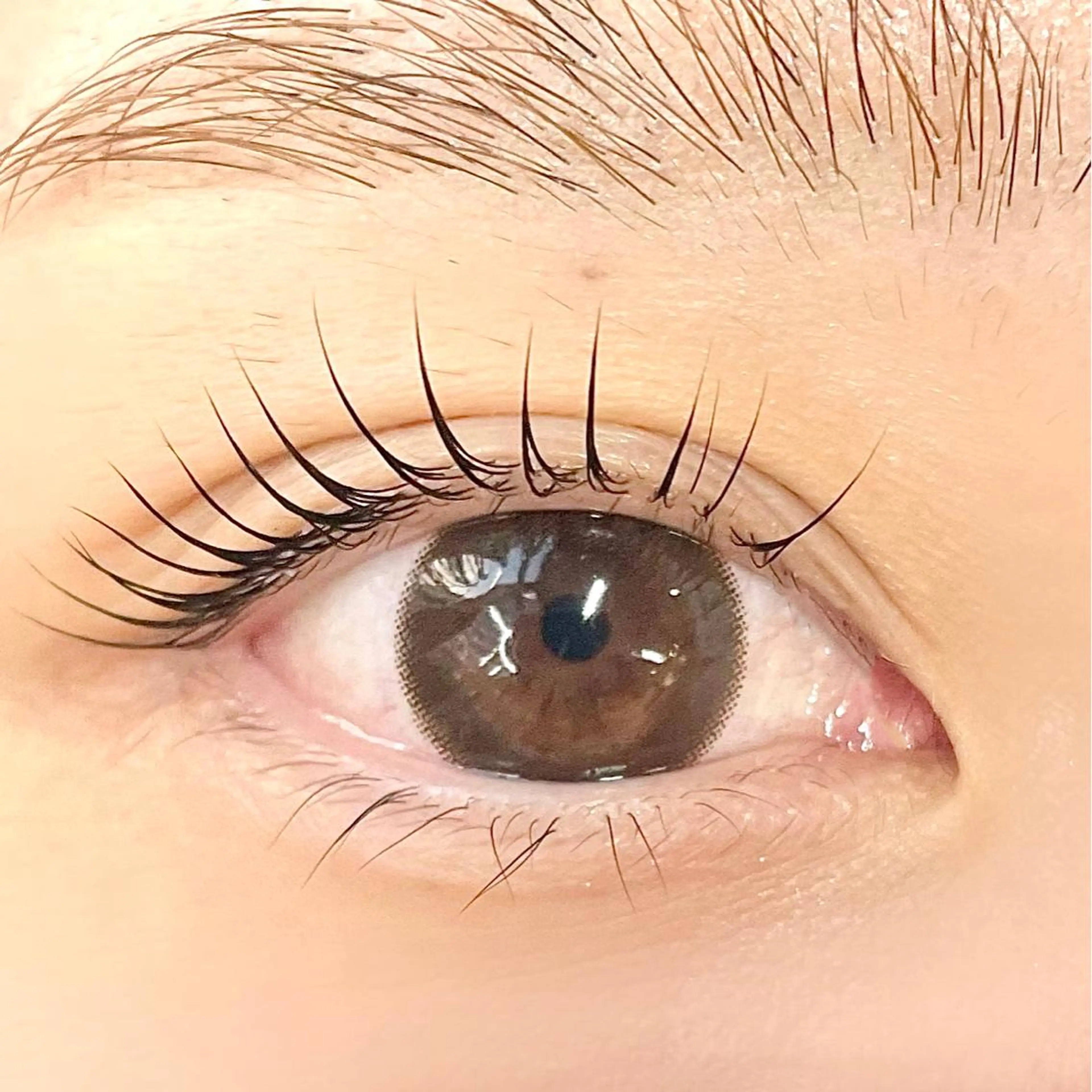 マツエク・マツパ まつげパーマ マツパ Ravicils【ラヴィシル】所属・宮永あゆ まつパ/美眉/恵比寿のマツエク・マツパデザイン