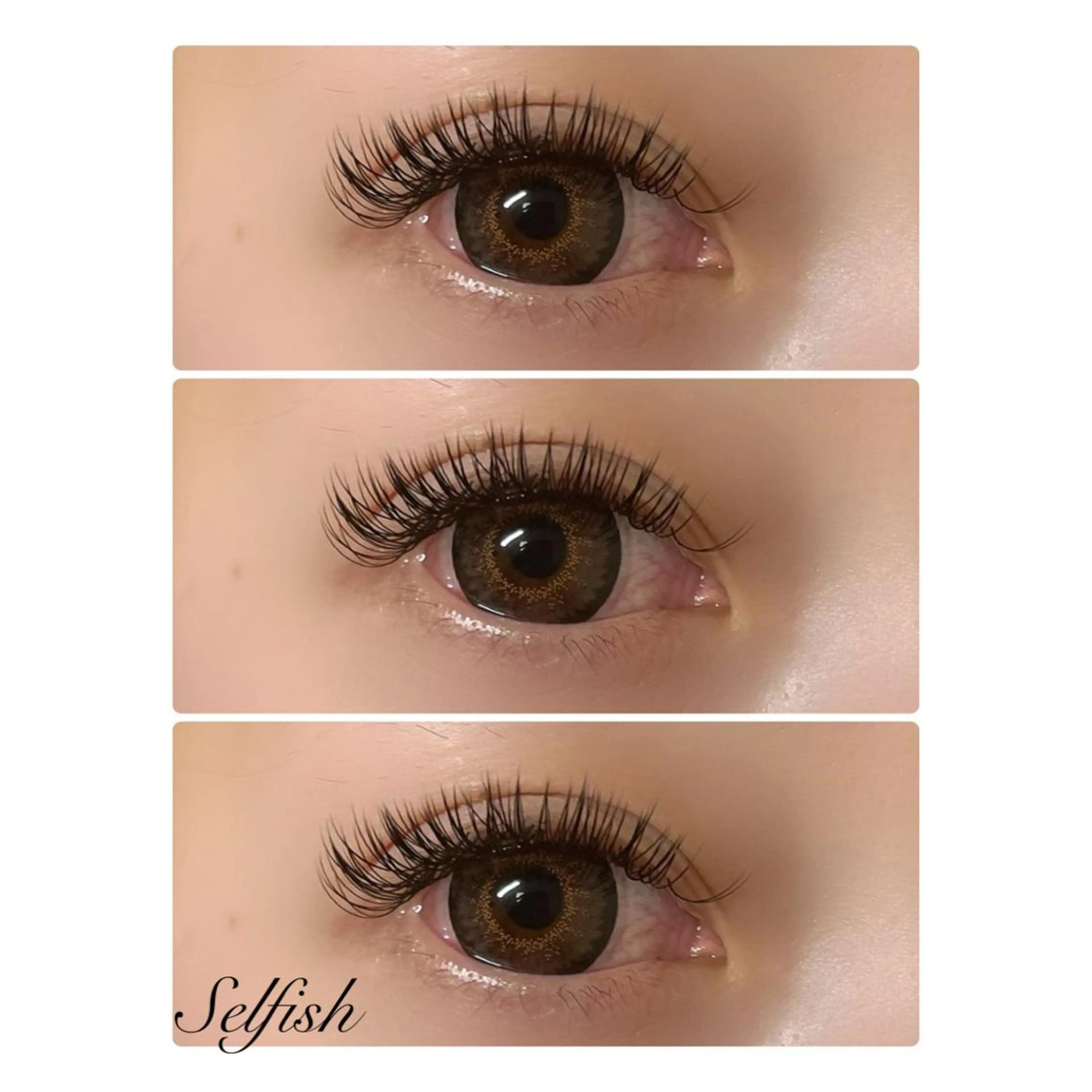 マツエク・マツパ 付け放題 フラットラッシュ マツエク . Selfishのマツエク・マツパデザイン