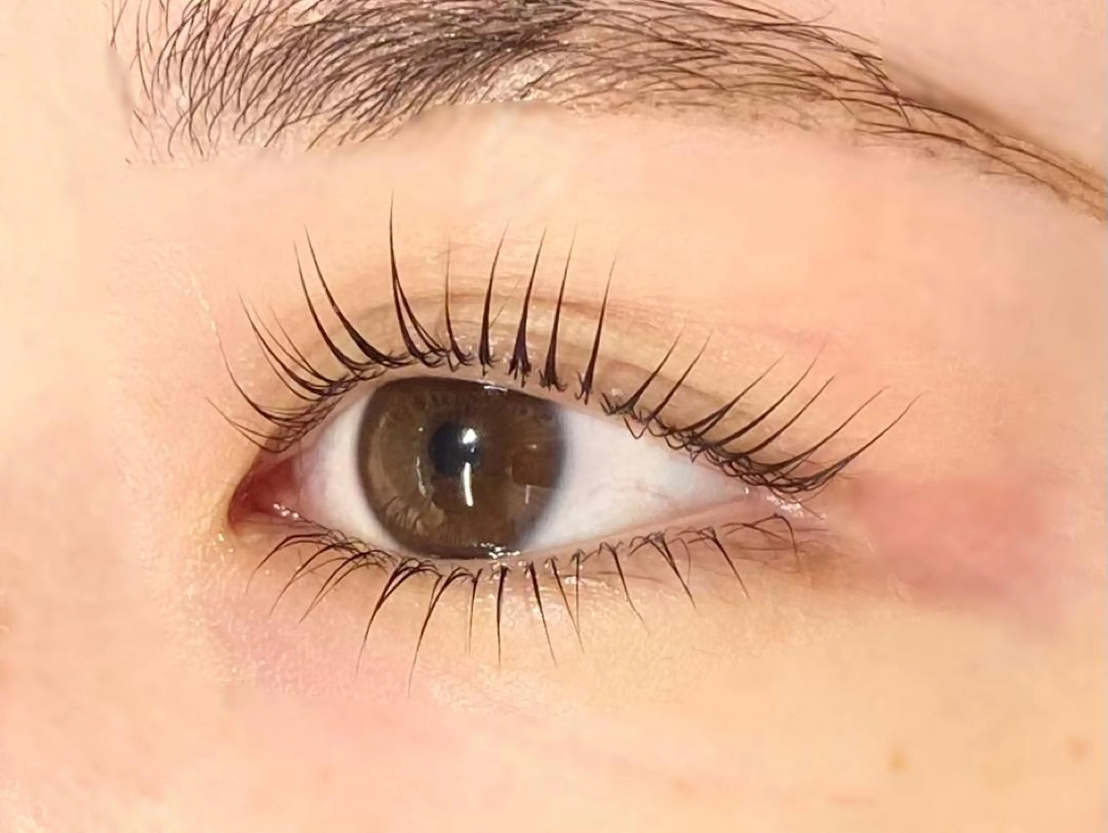 マツエク・マツパ パリジェンヌラッシュリフト マツパ 🦋eyelist 株　カブ🦋横浜のマツエク・マツパデザイン