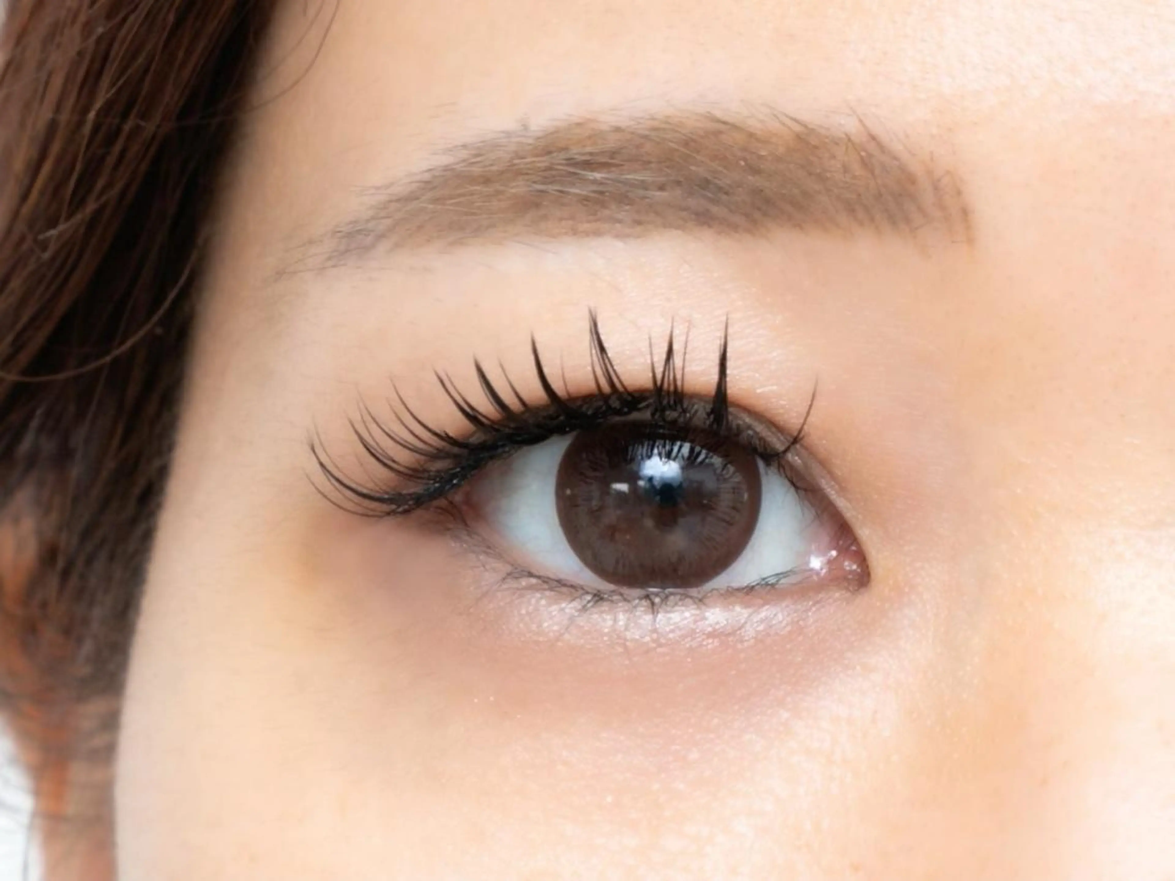 【🐈⬛高持続💫】バインドロック60束(オフなしの方のみ)の写真