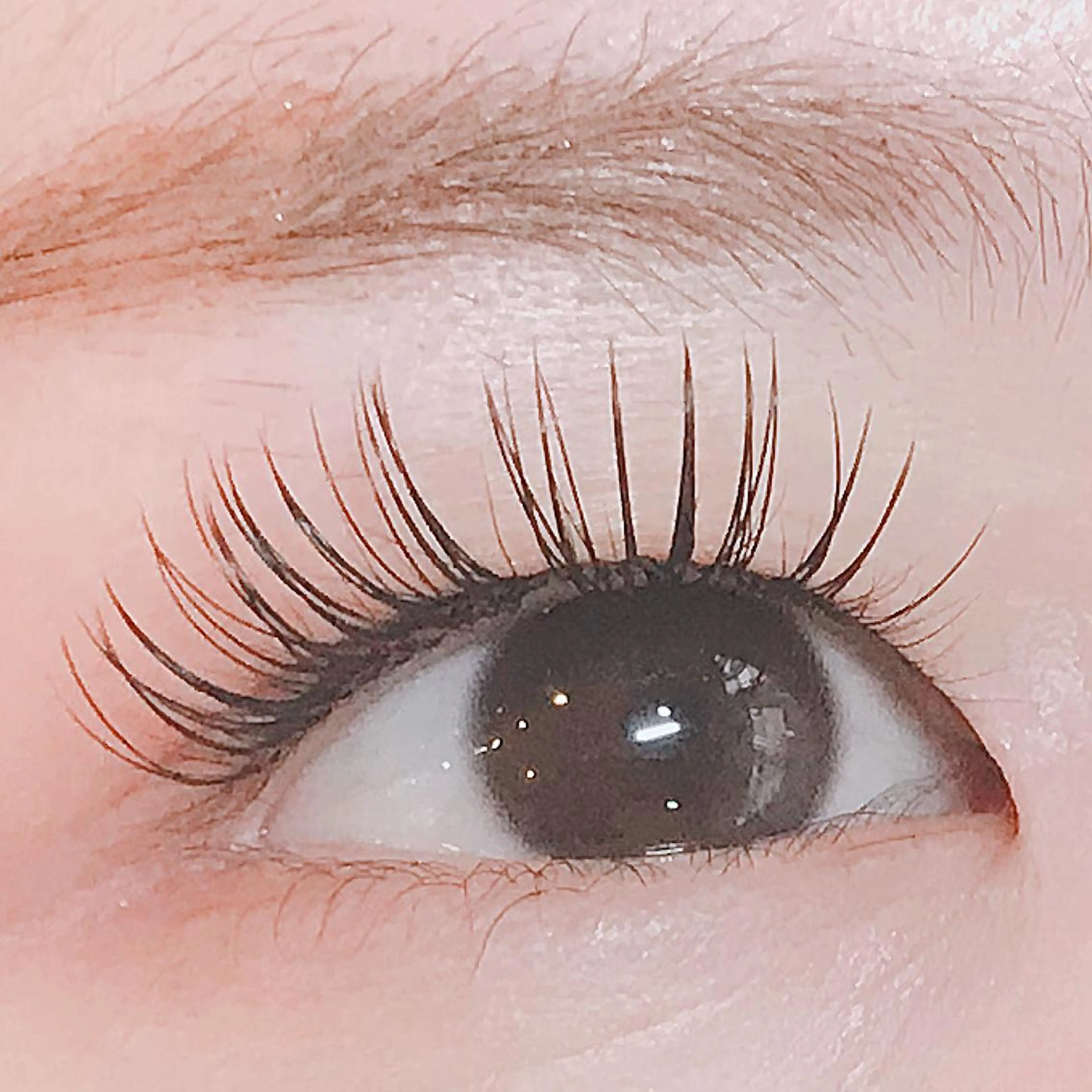 マツエク・マツパ フラットラッシュ Raviliss 武田のマツエク・マツパデザイン