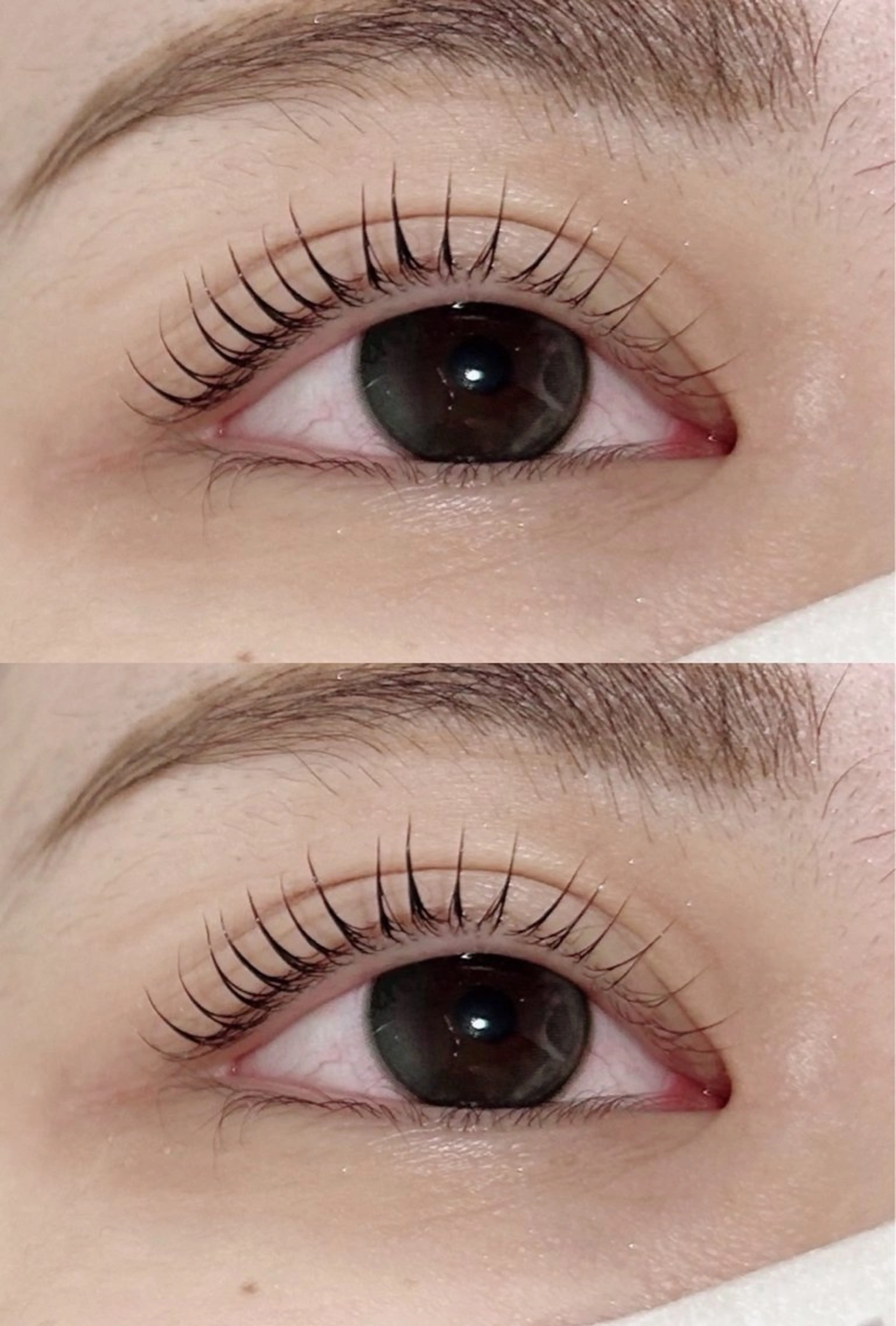 マツエク・マツパ マツパ Lily NAOMIのマツエク・マツパデザイン