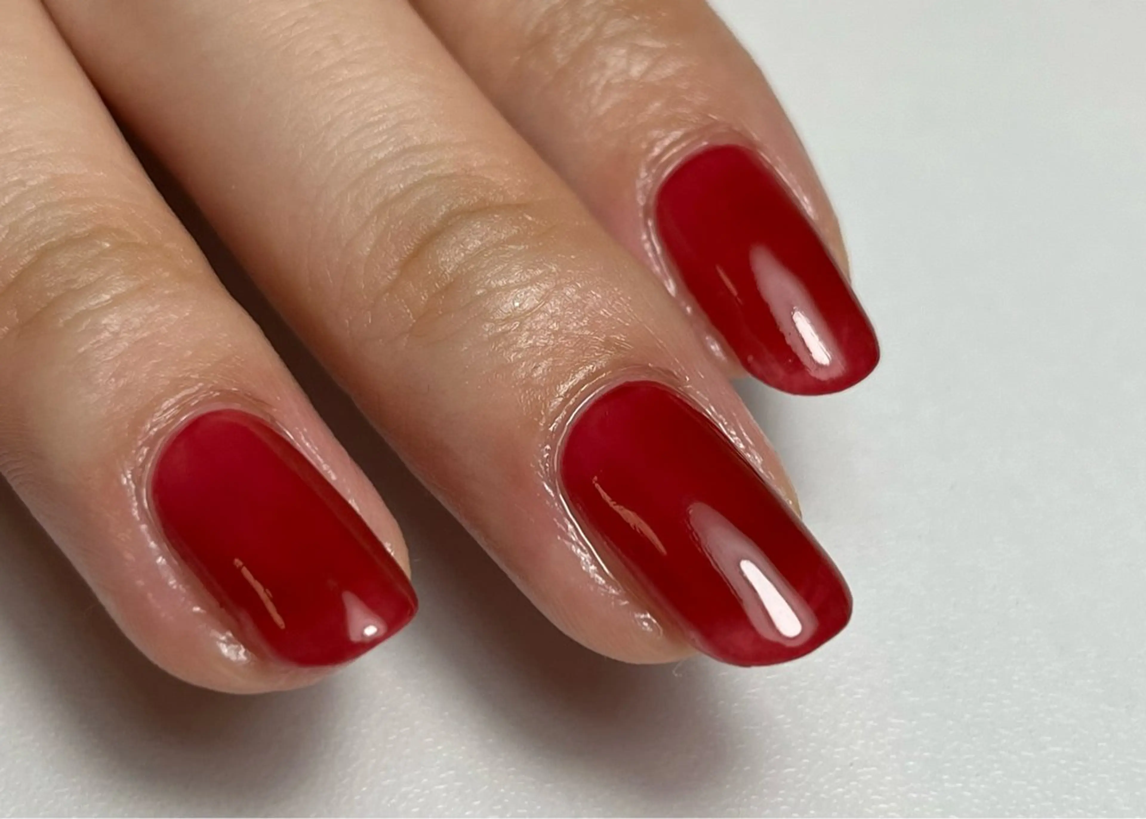 【オフなし】ワンカラー🎨🌿の写真