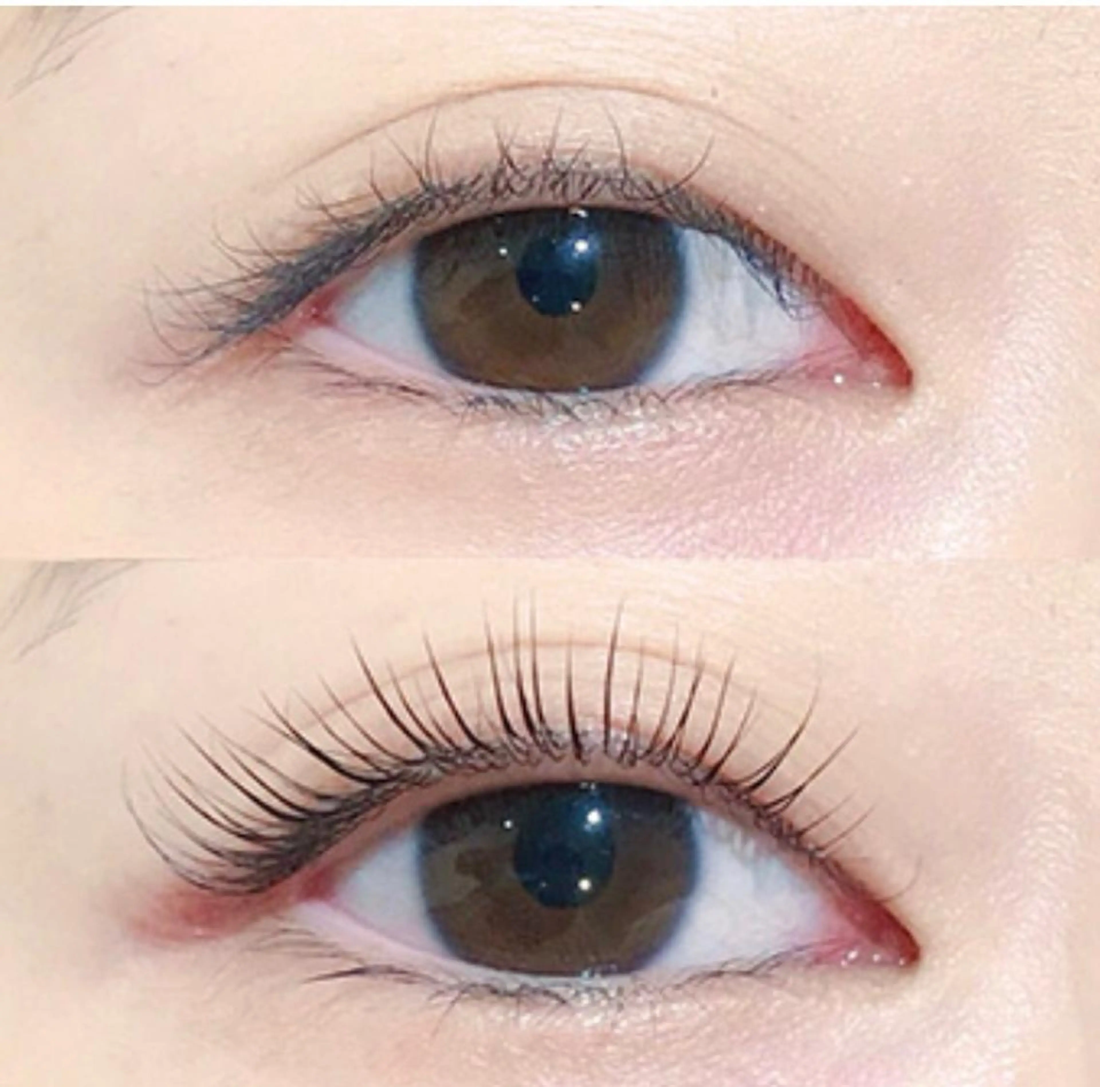 🌸当サロン再来限定　マツエクリペア　60本3,980円　ポイントオフ込みの写真