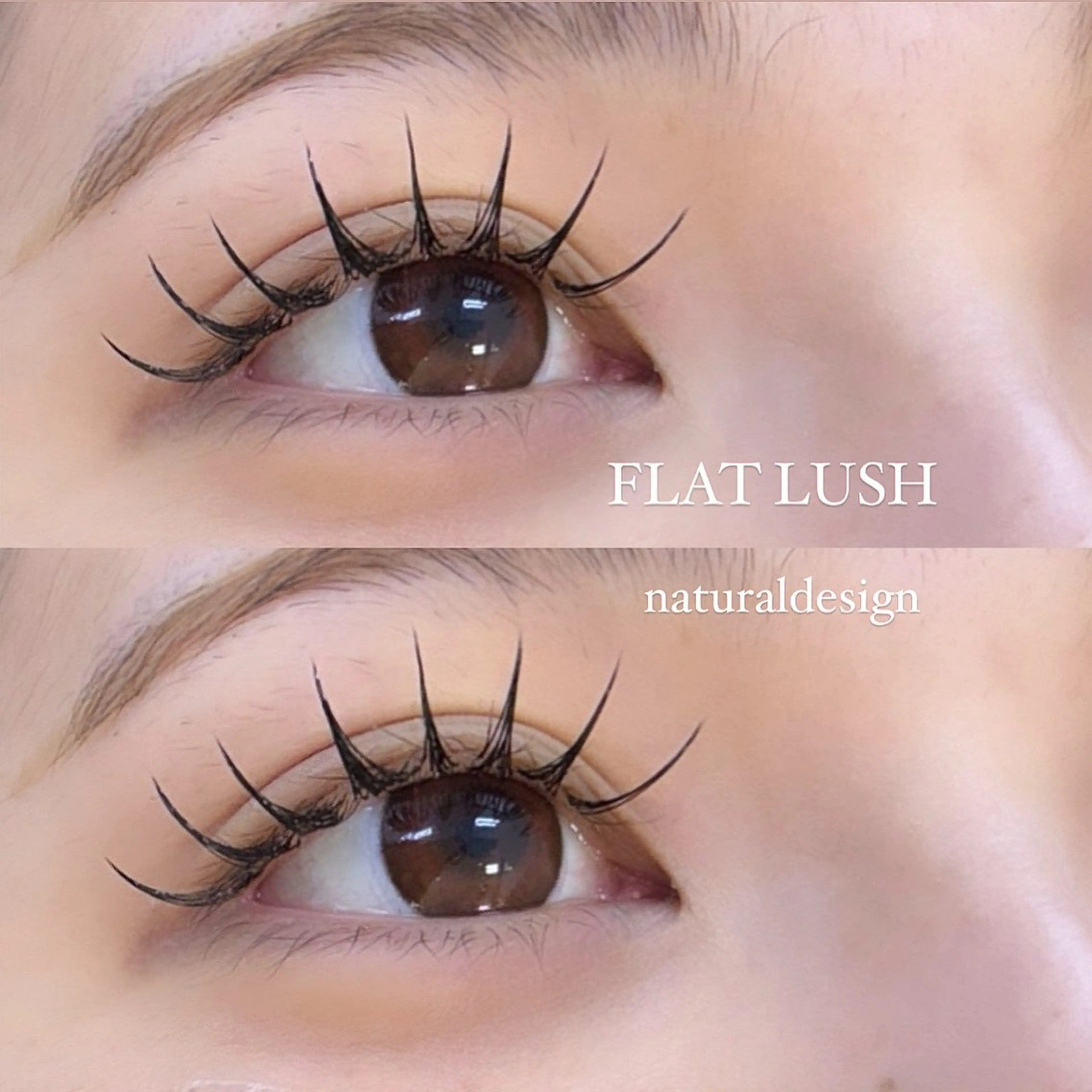 マツエク・マツパ EYELA Hinata🐰♡のマツエク・マツパデザイン