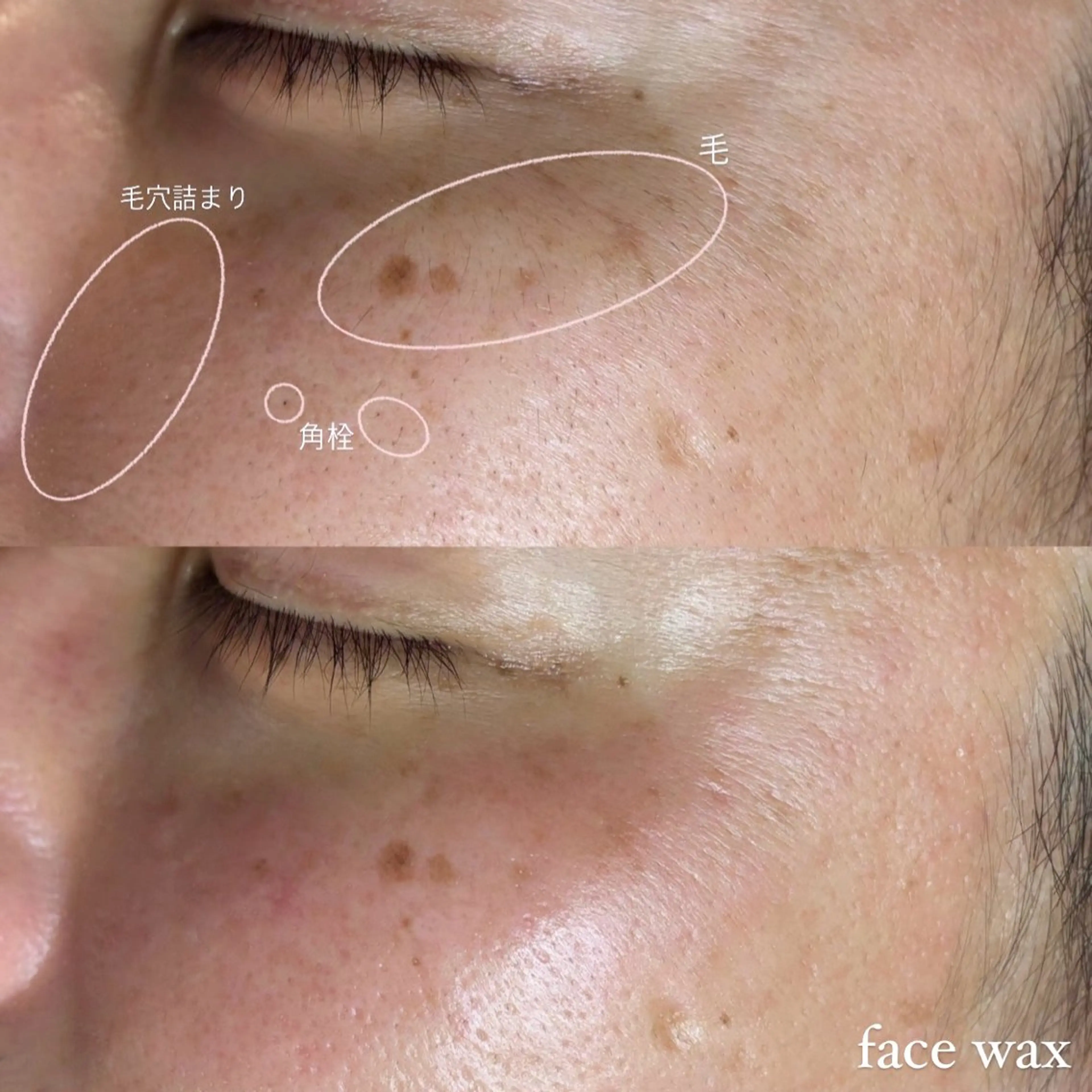 ワックス脱毛 眉カット seReno eyebrow&eyelash目黒本店所属・seReno KOHAKUの眉毛・アイブロウイメージ