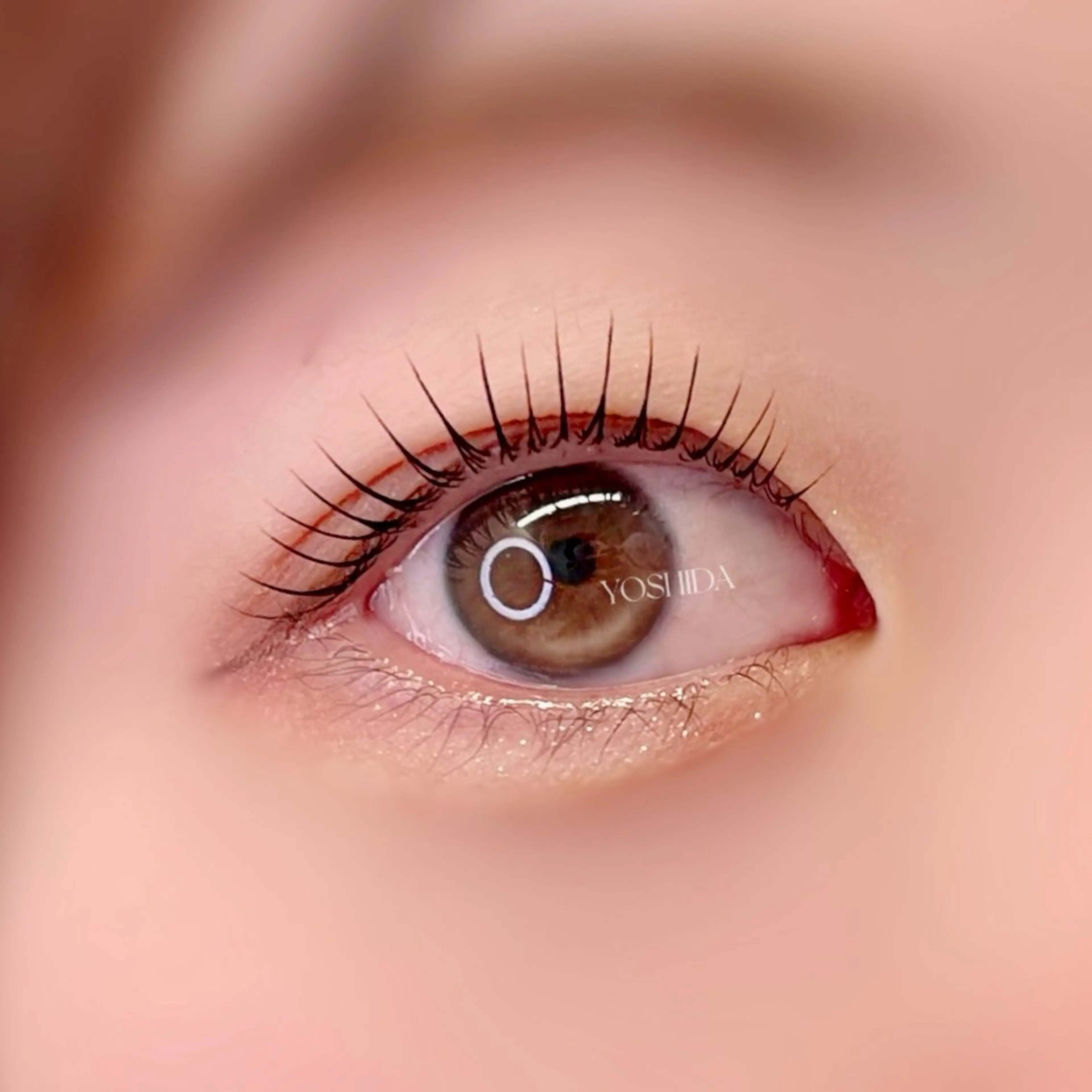 minimo限定🉐🌈【マスカラパーマ🇰🇷🫧】アイシャンプー+仕上げコーティング付💫の写真