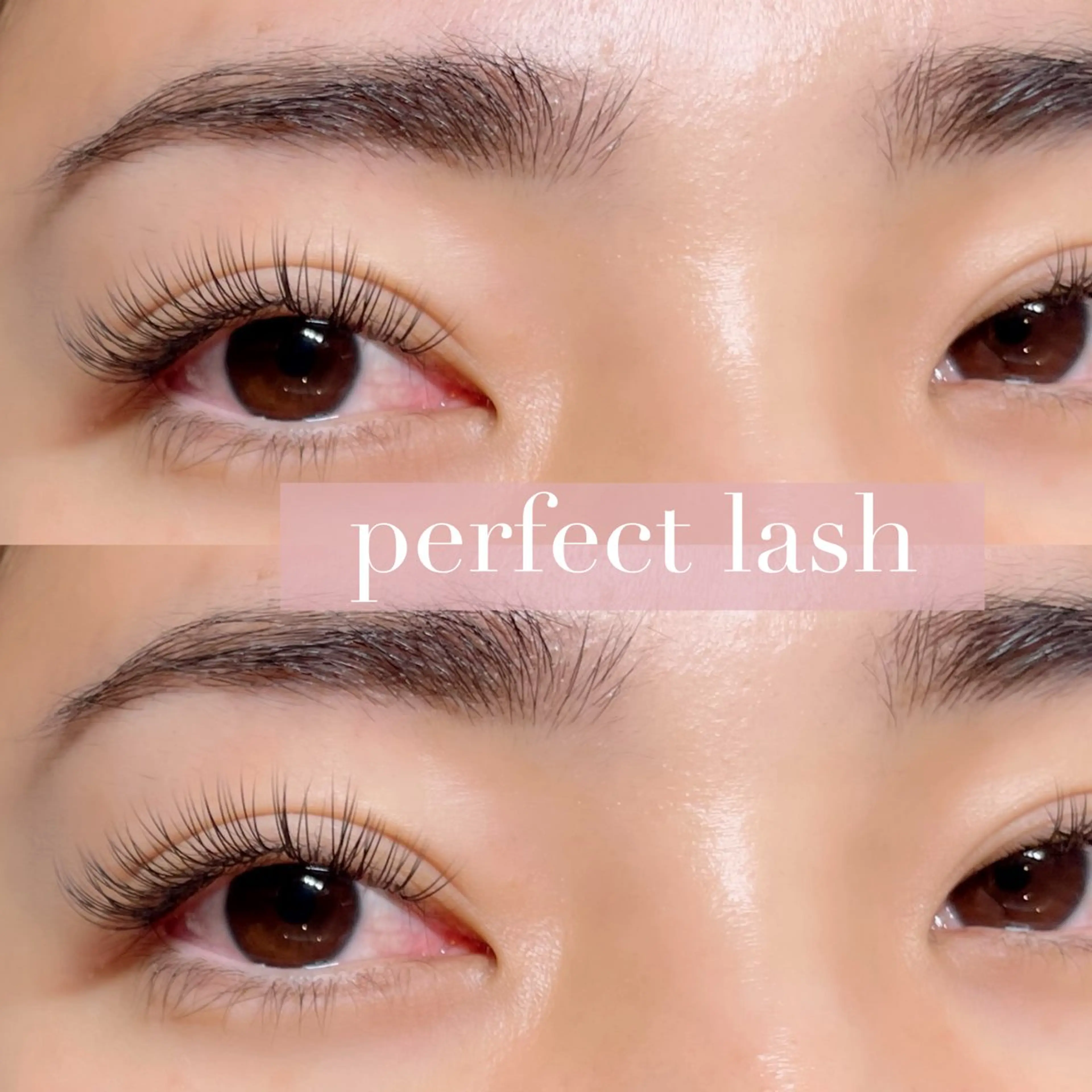 【持ちがいい】パーフェクトラッシュ　140本🌷オフ込の写真