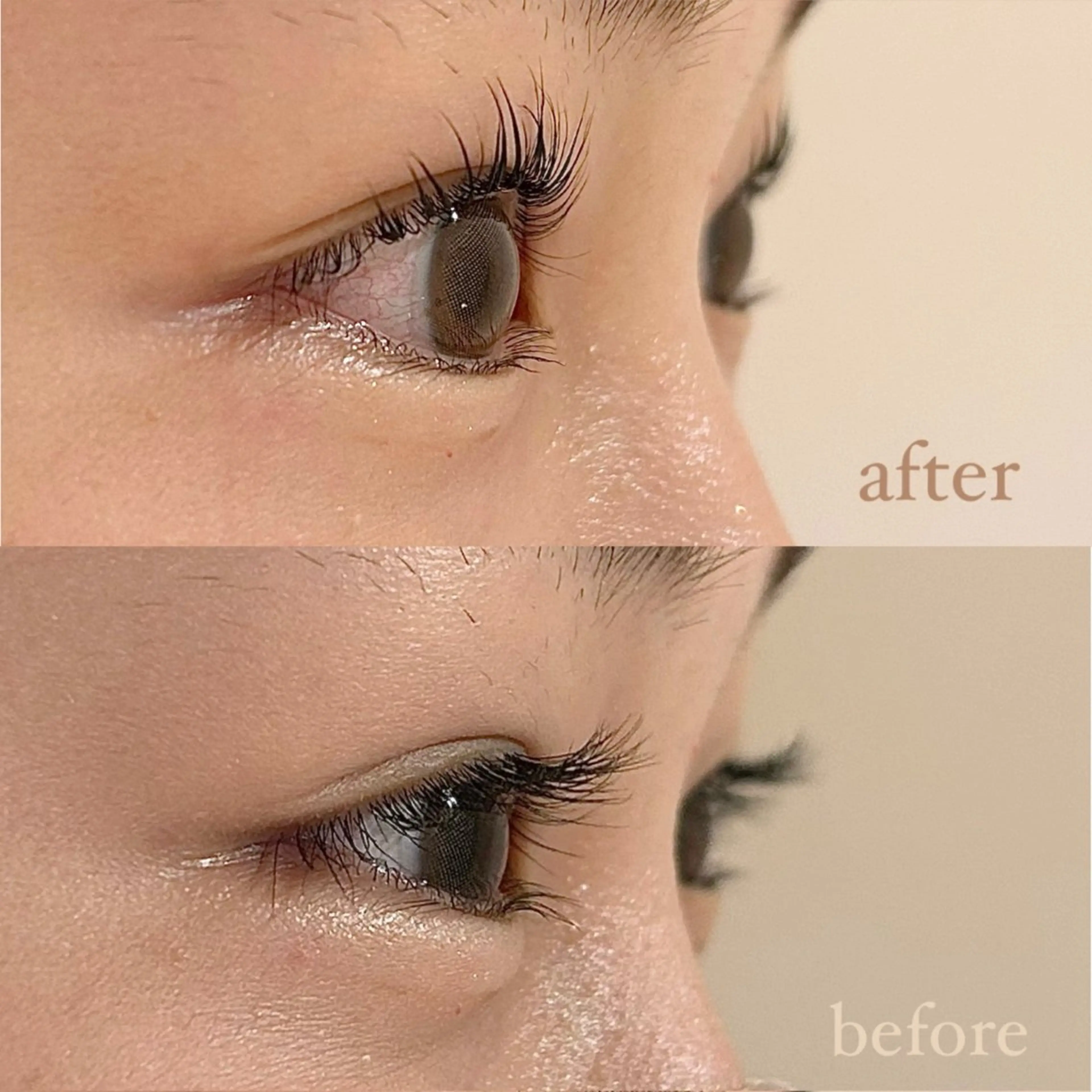 🐏ビューラー式まつげパーマ🩰の写真