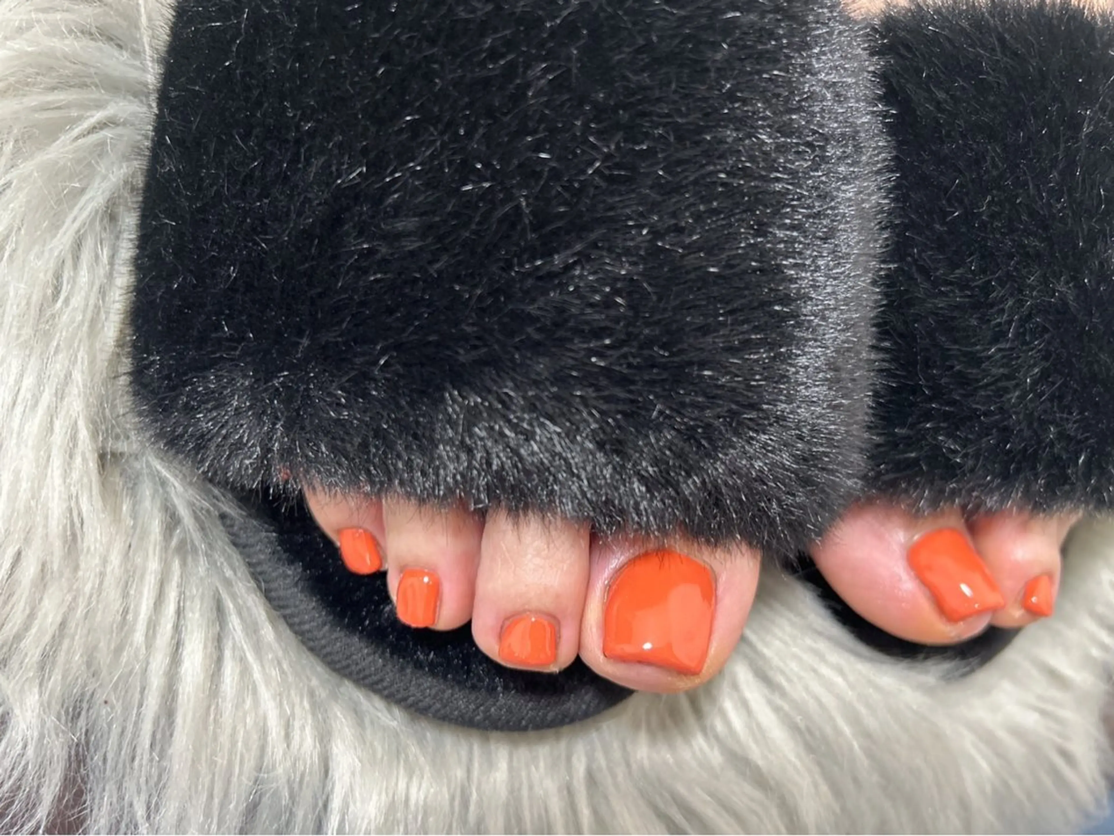 ネイル フットネイル eye&nail éleviのマツエク・マツパデザイン