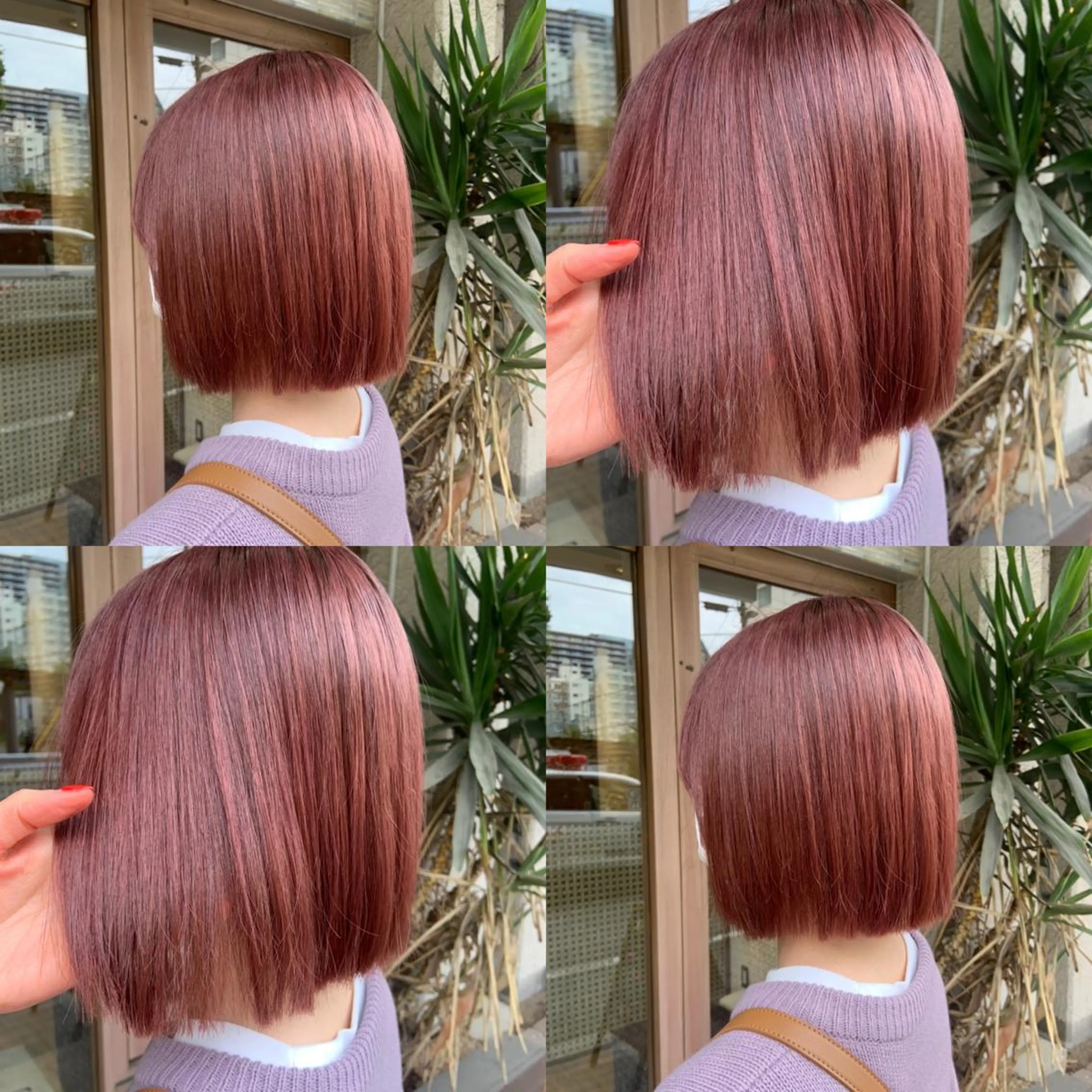 ミディアム カラー 🤍透明感/韓国風 🤍サクラギヒトミのヘアスタイル