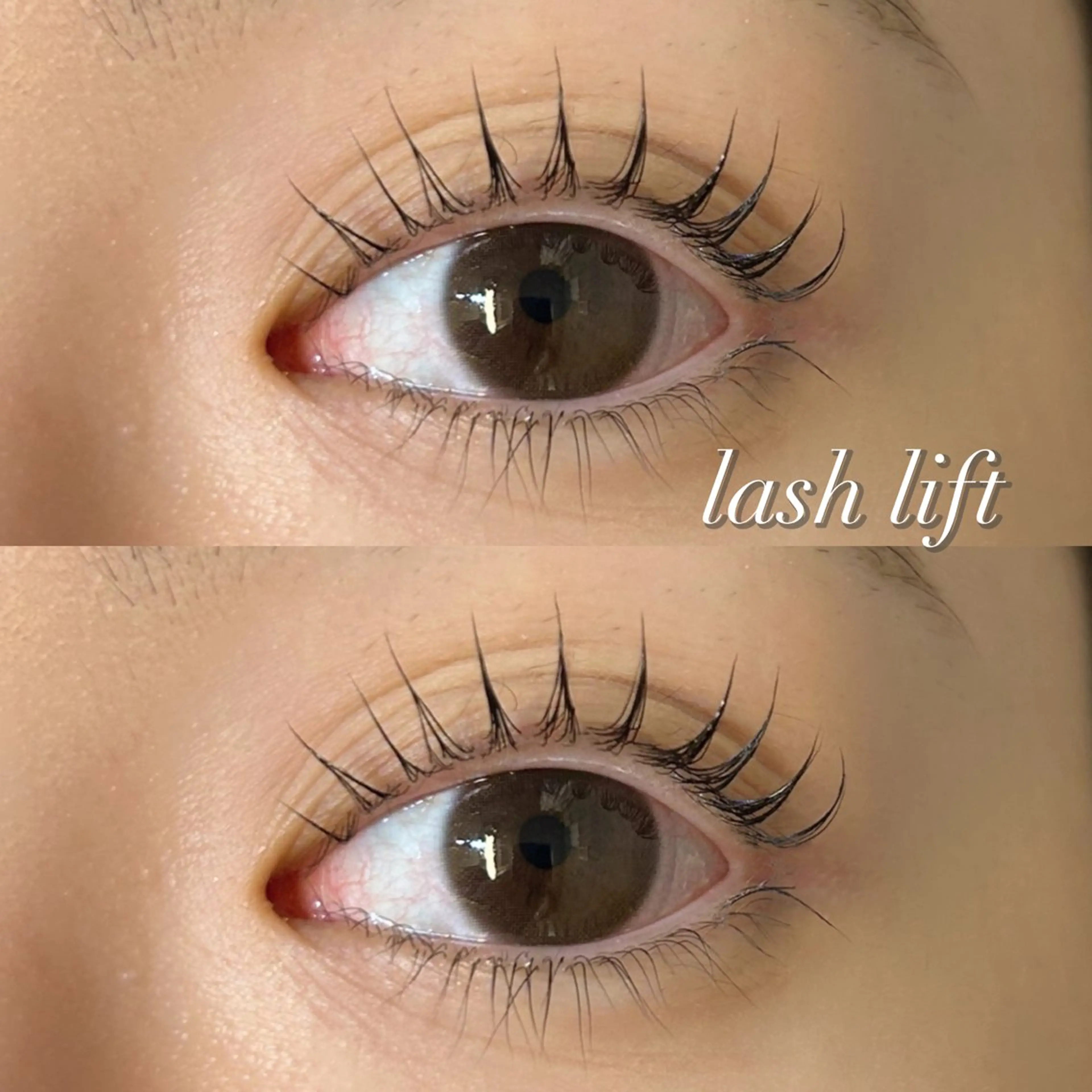 マツエク・マツパ 京都LEDﾏﾂｴｸ 𝘼𝙡𝙪𝙢𝙚のマツエク・マツパデザイン