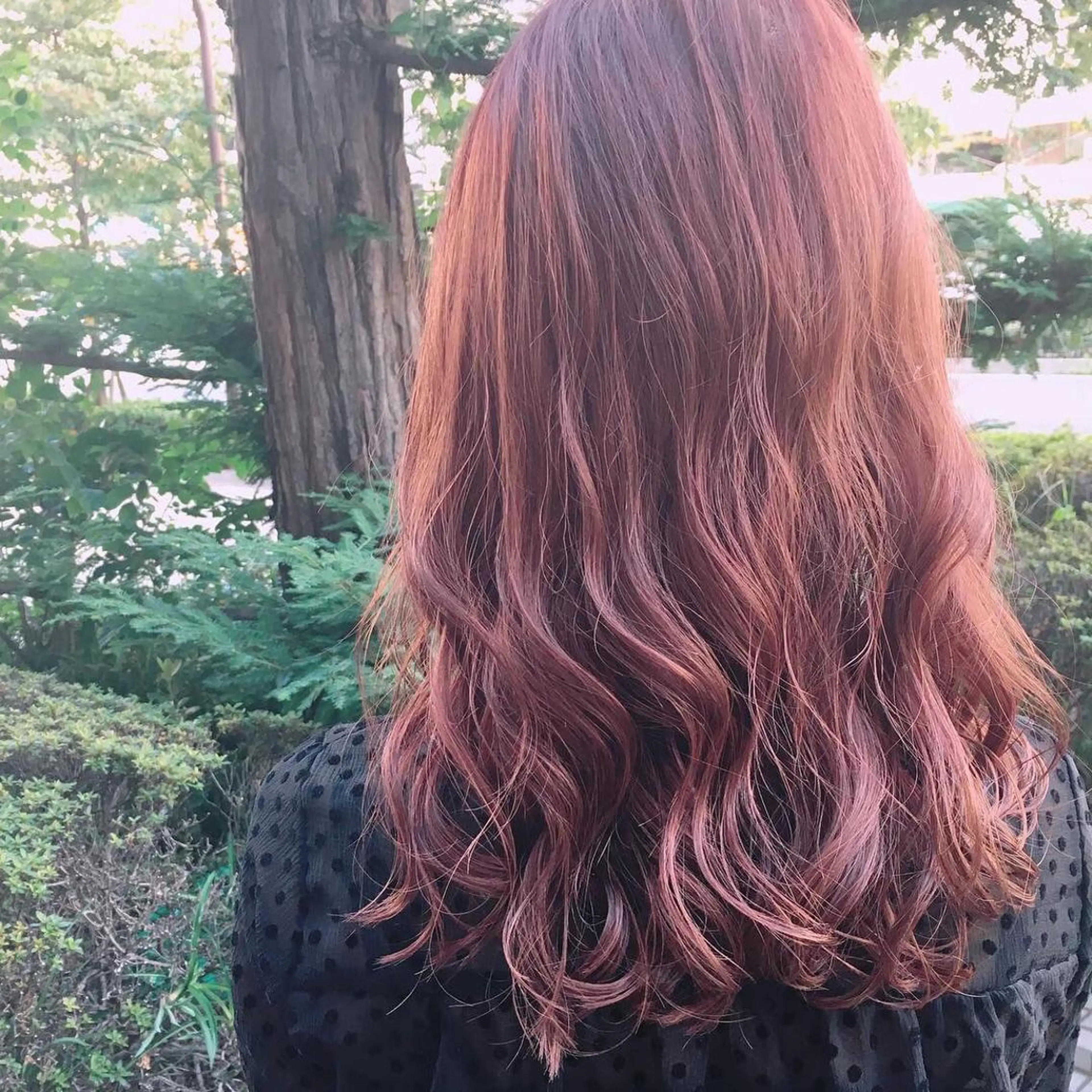 セミロング カラー カシス ピンクカラー カット ヘアカラー トリートメント ❣️モードケイズ塚口 和田一将のヘアスタイル