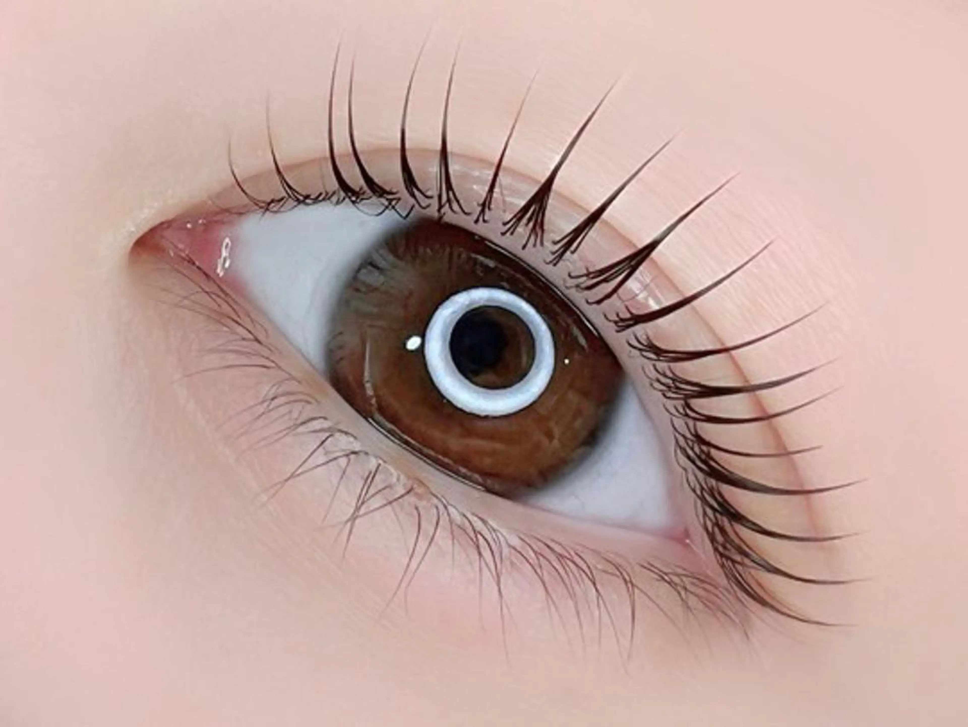 minimo限定価格✨【上下ラッシュリフト】デカ目効果&小顔効果🌷の写真