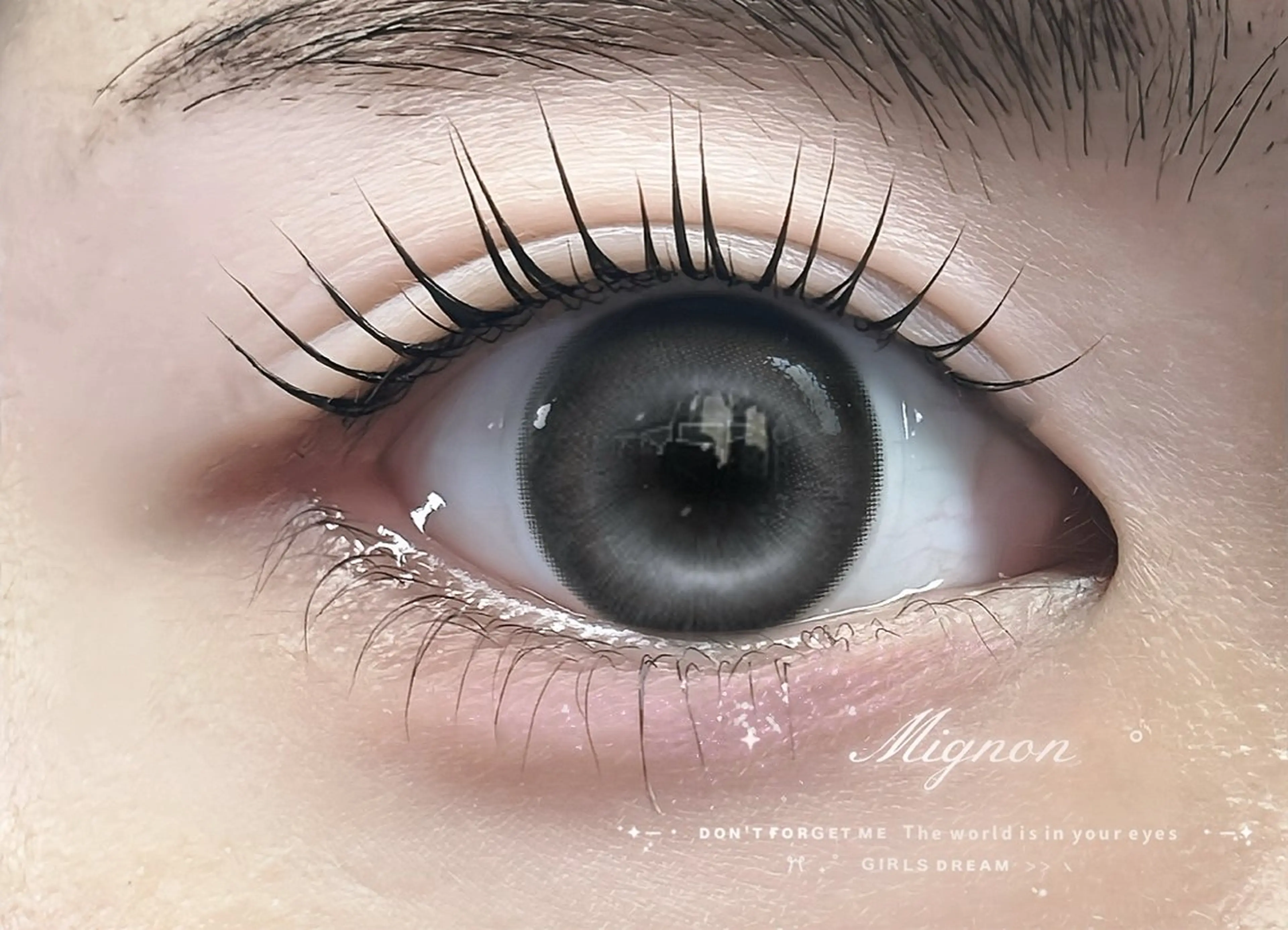 マツエク・マツパ まつげパーマ 下まつげエクステ マツパ 🩶LED＆ダブル フラットRAN🪽のマツエク・マツパデザイン