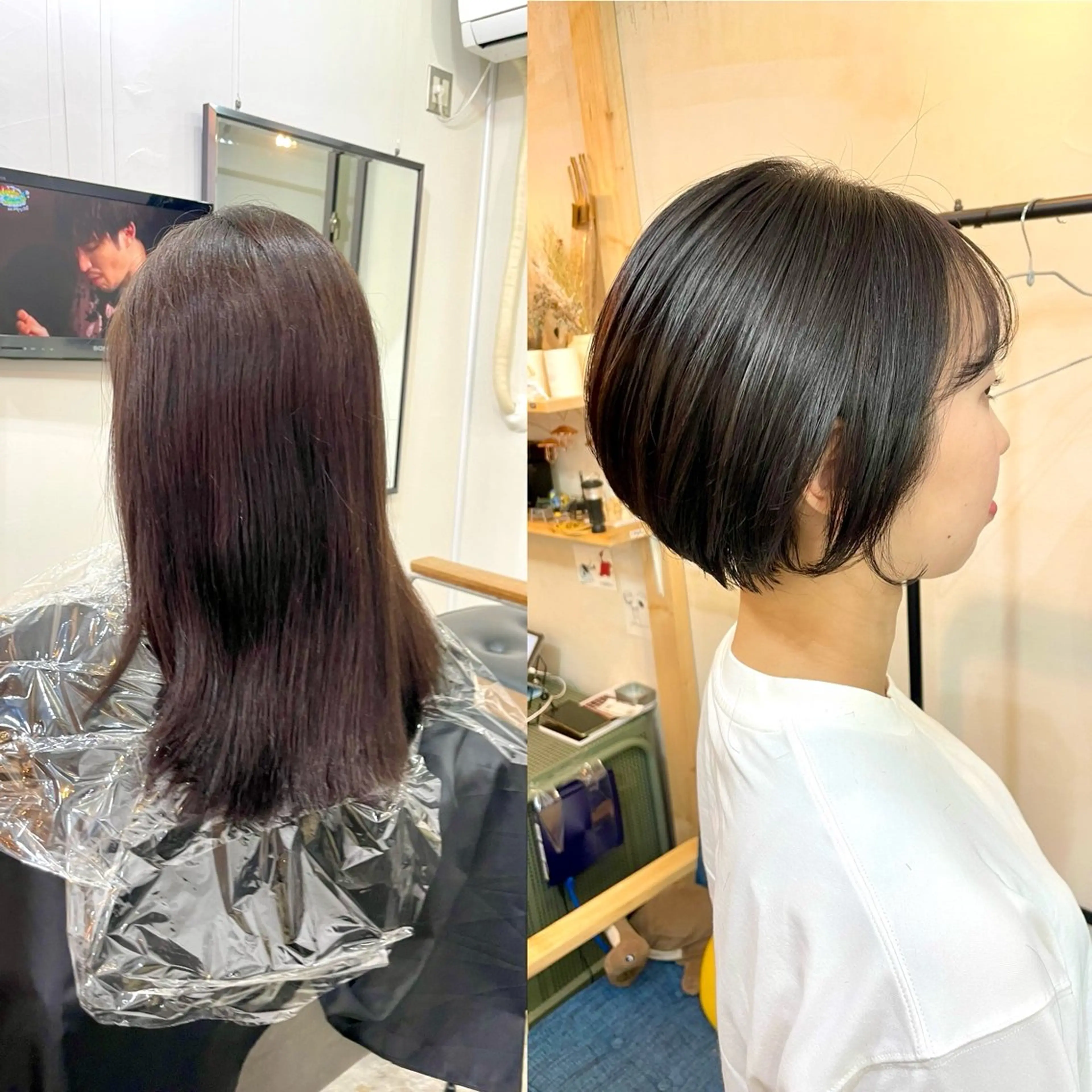 ショート カラー トリートメント カット ヘアカラー 縮毛矯正 トリートメント 水素トリートメント／ 髪質改善/ナカノメのヘアスタイル