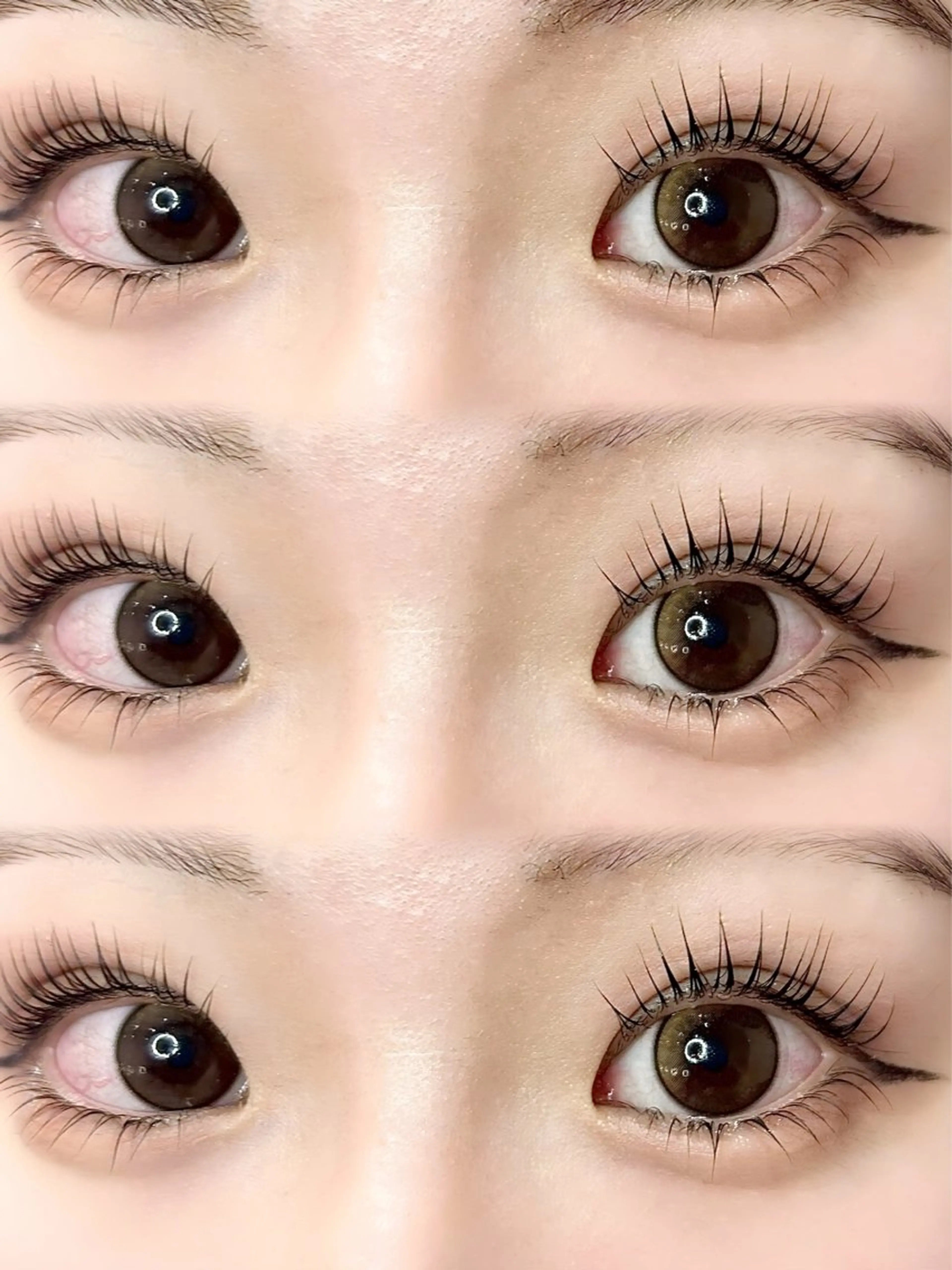 🫧パリジェンヌラッシュリフト🫧上のみの写真