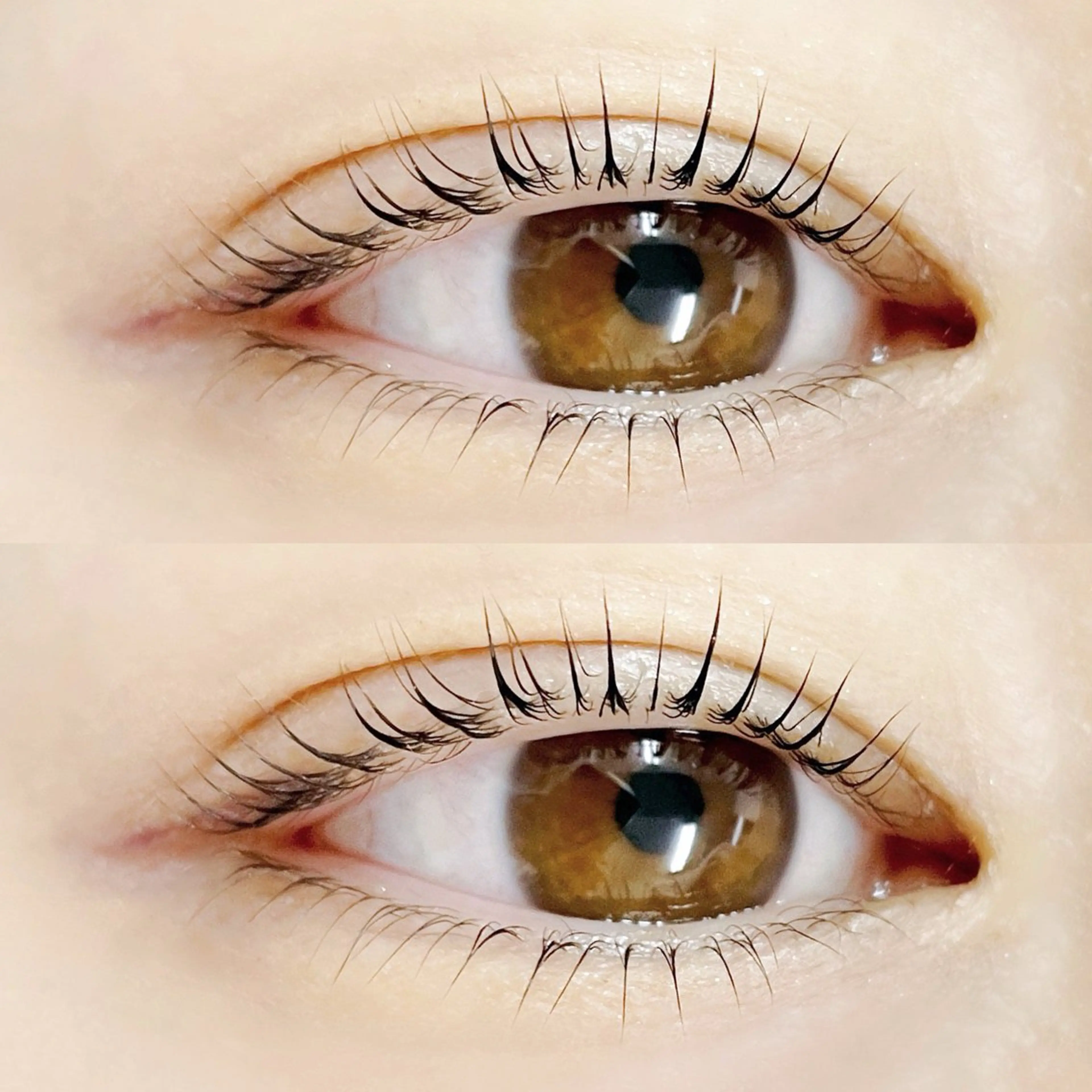 《似合せ・高持続✨》ラッシュリフトorパリジェンヌラッシュリフト上下の写真