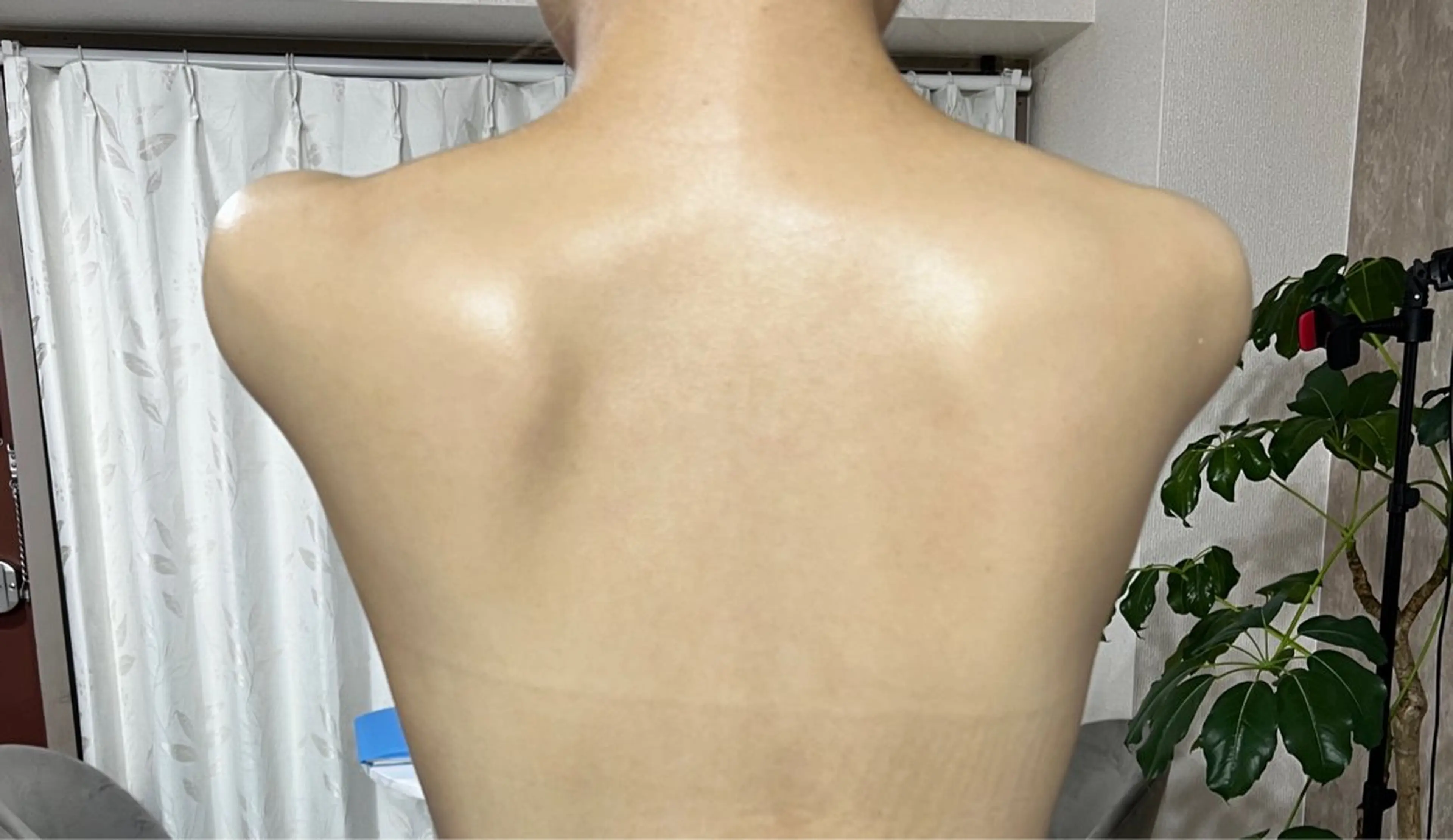 【背中上部｜毛穴詰まり・ごわつきケア】 REVIハーブピーリング🌿陶肌トリートメント＋エンザイム1gの写真