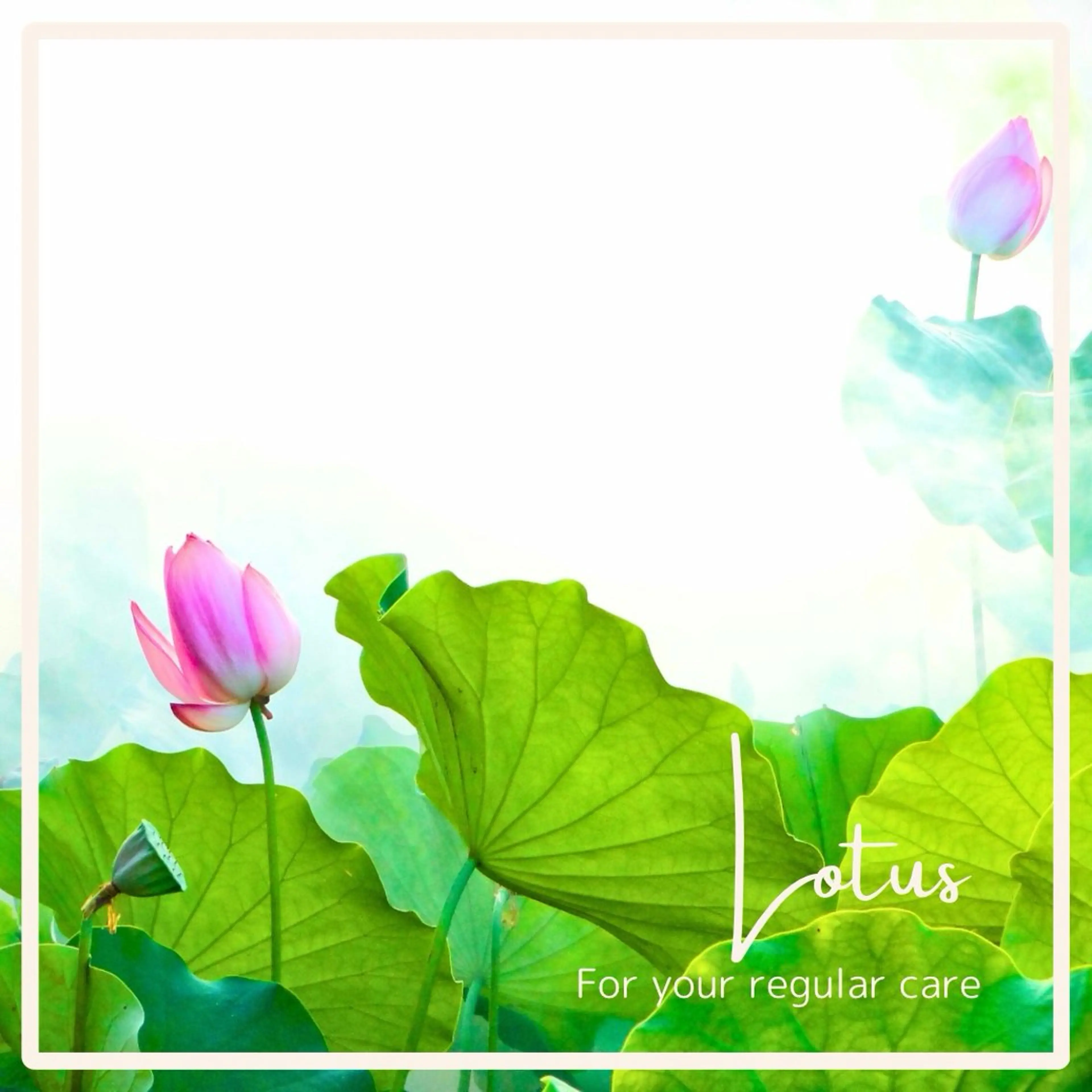 健美維持のための定期的なケアにアーユルヴェーダを ロータス90分コースの写真