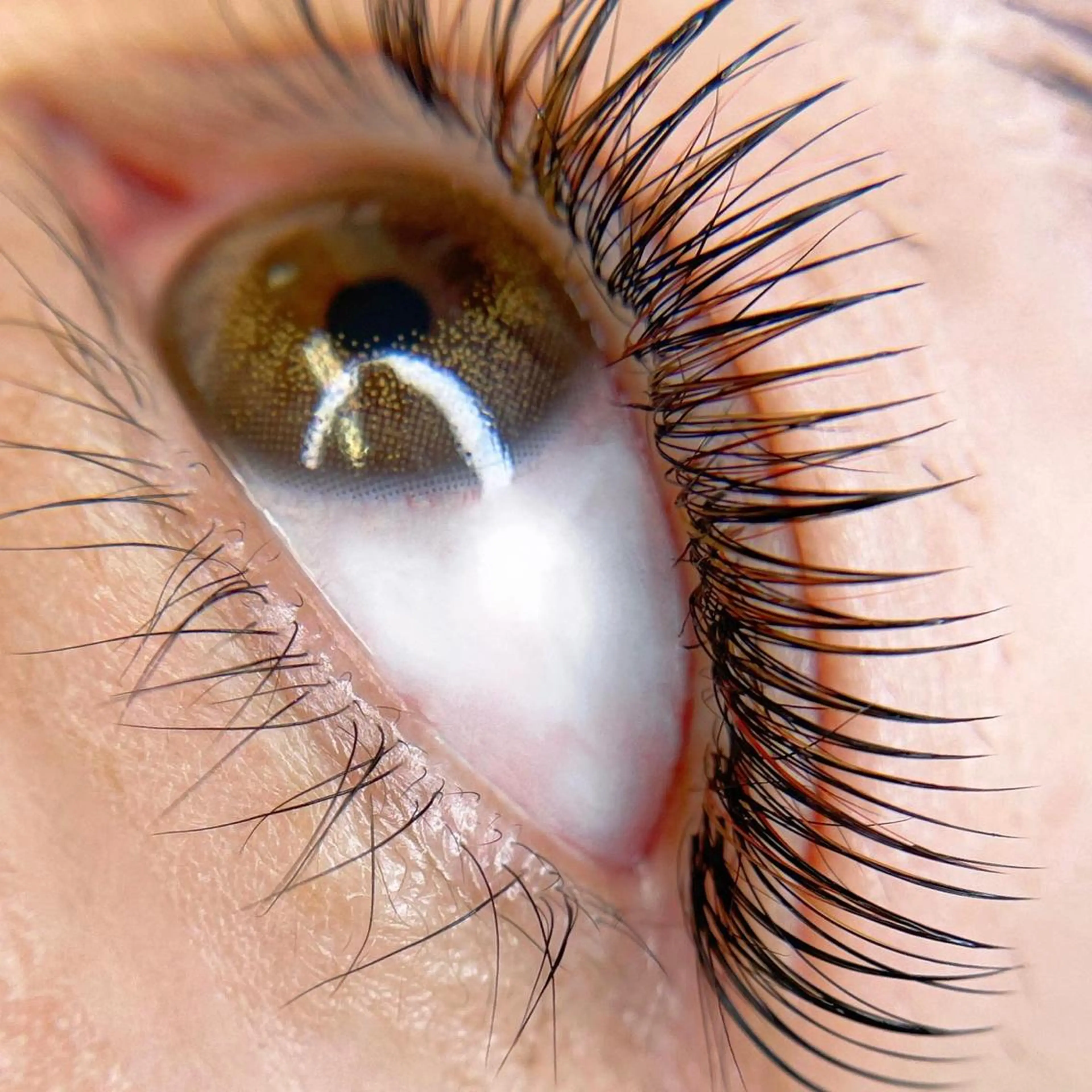 マツエク・マツパ カラーエクステ │千葉中央のマツエク・マツパデザイン