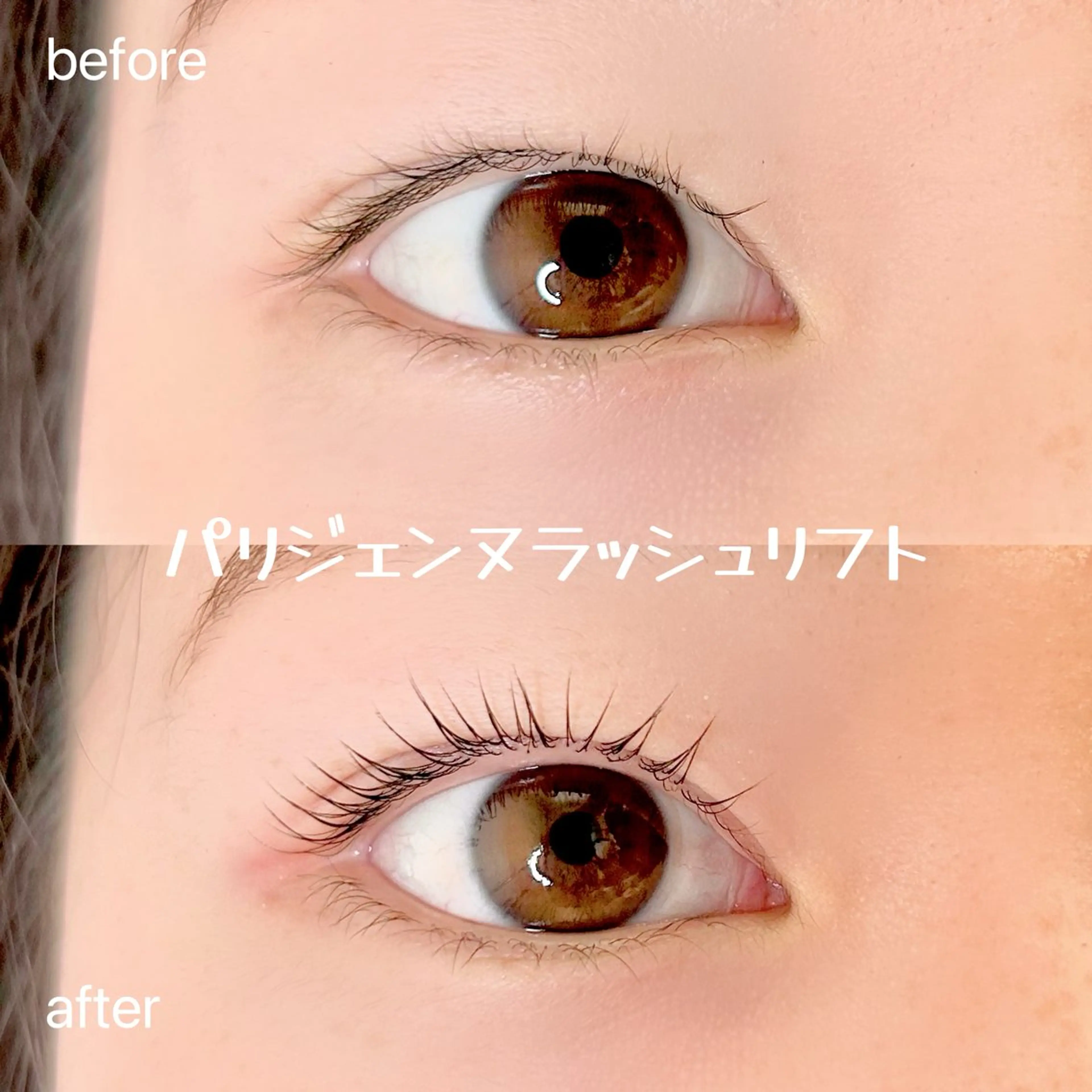 マツエク・マツパ まつげパーマ マツパ elua eyelashの眉毛・アイブロウイメージ