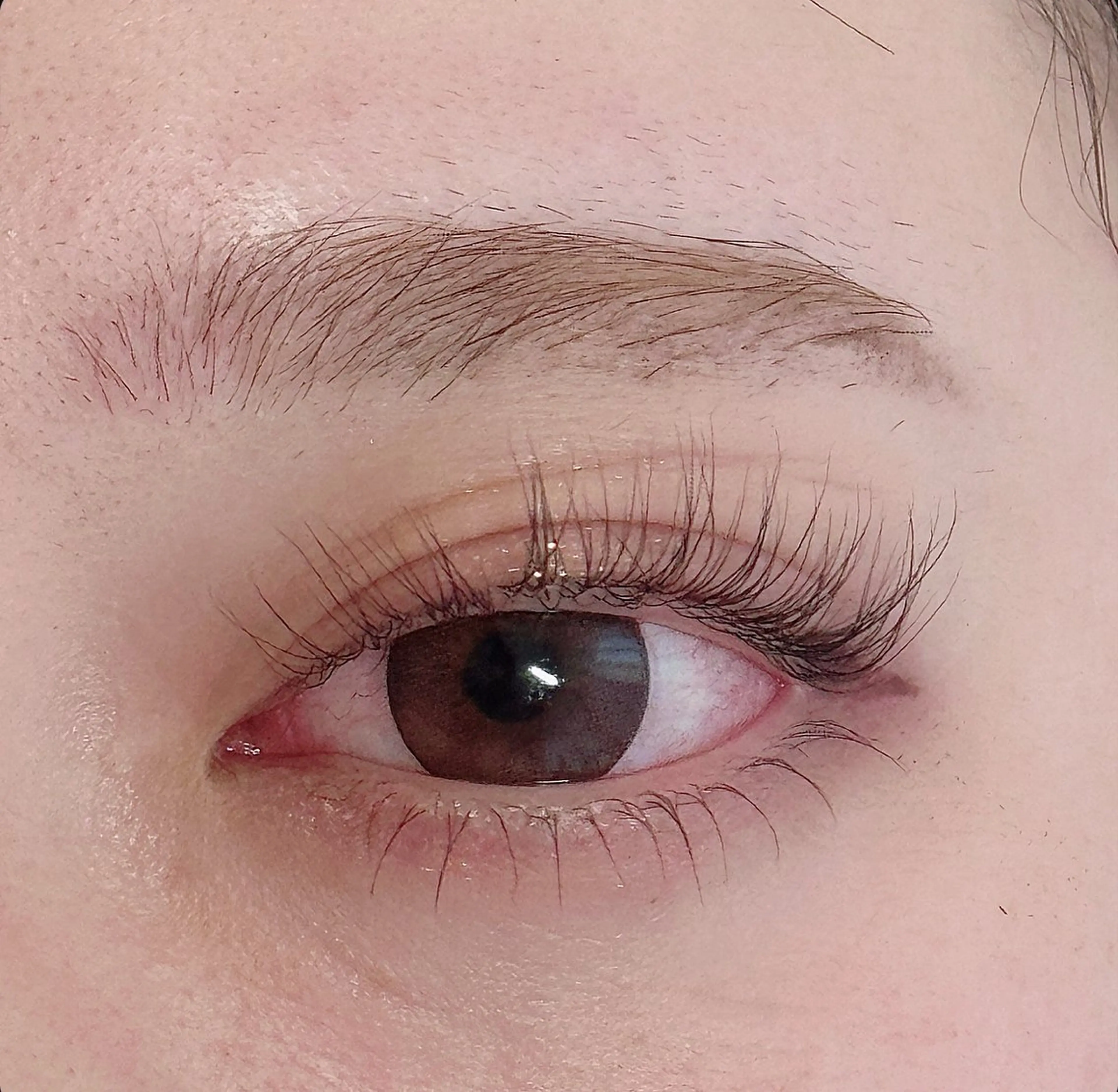 マツエク・マツパ Cカール まつげパーマ 下まつげエクステ 一重×まつ毛パーマ eter, Ren🇰🇷🤍の眉毛・アイブロウイメージ