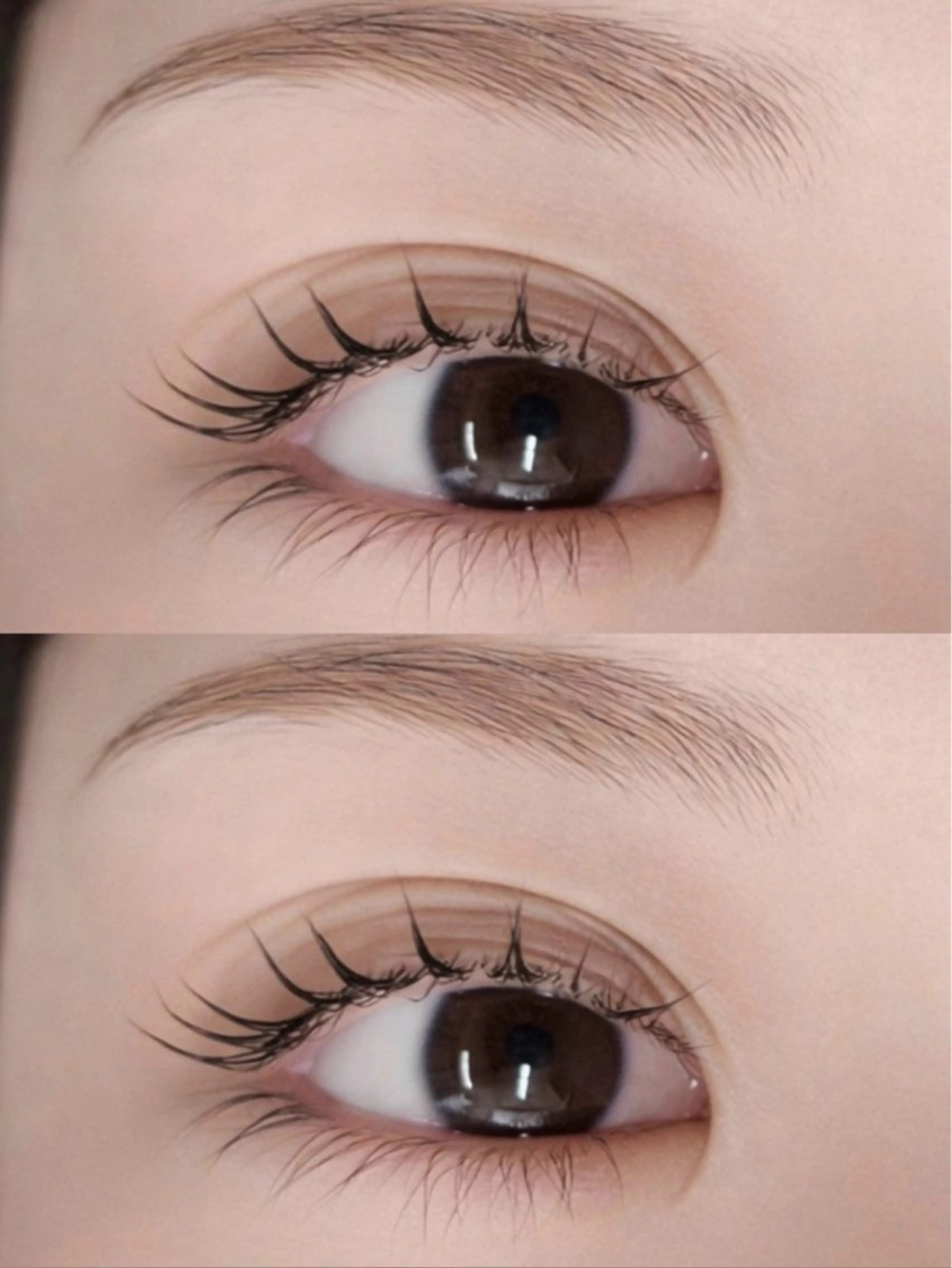 【4月限定】韓国で話題🎀🧸マスカラパーマ✨トリートメント・コーティング仕上げ🧸🎀束感【飯田橋/神楽坂】の写真