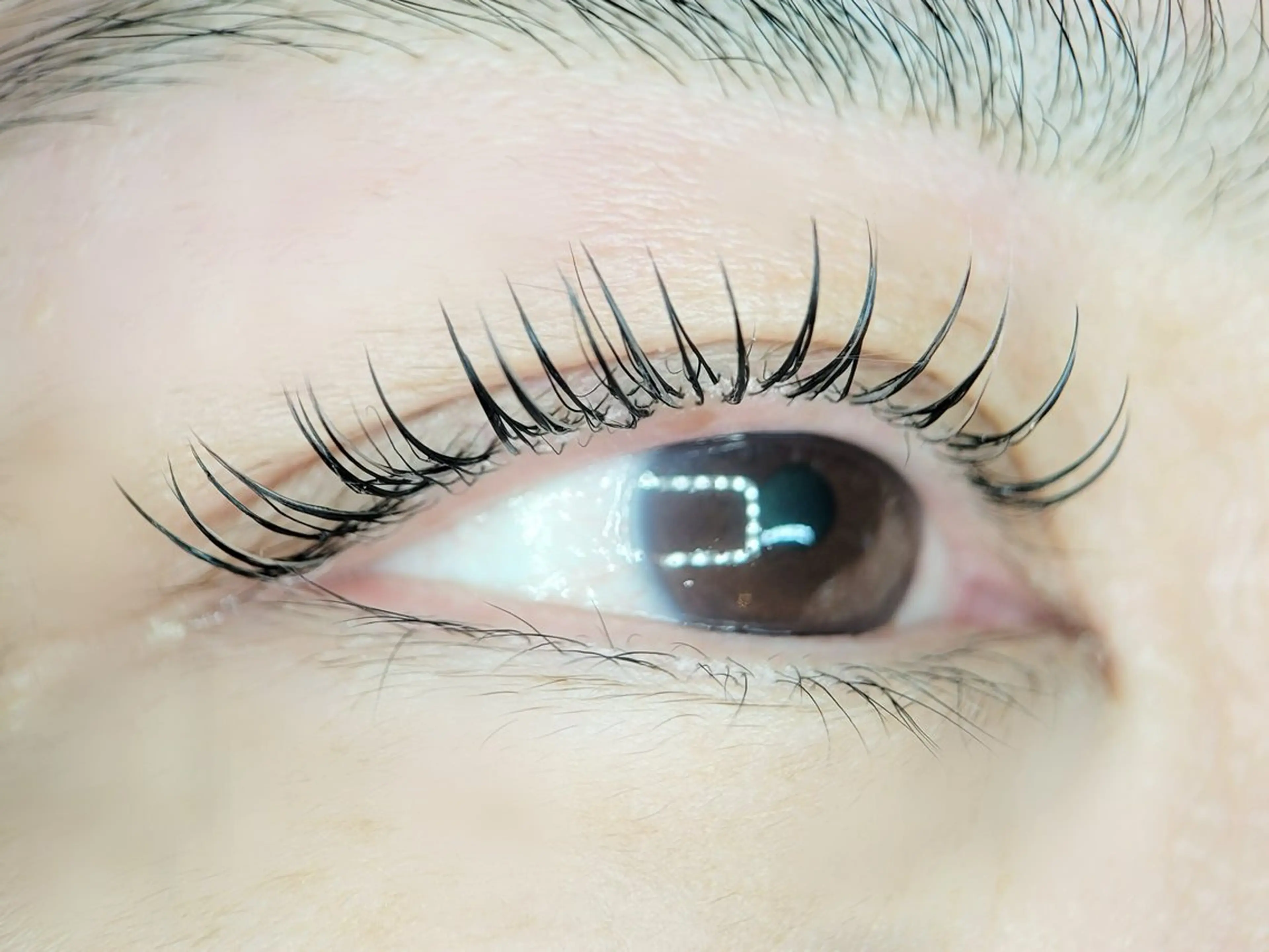 マツエク・マツパ マツエク Lushana 眉毛/まつ毛の眉毛・アイブロウイメージ