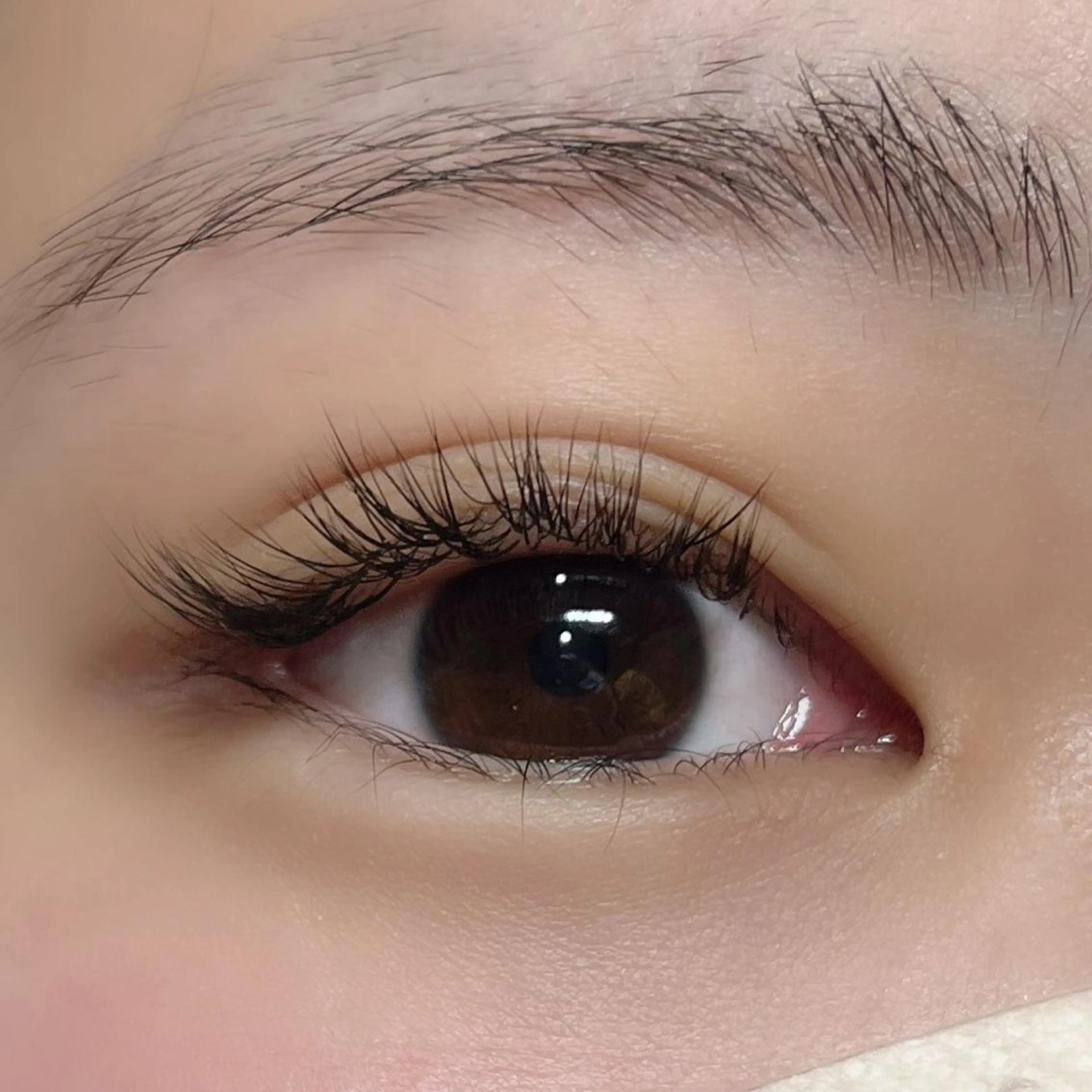 マツエク・マツパ フラットラッシュ Jカール ナチュラル パリジェンヌラッシュリフト Veil ayakaのマツエク・マツパデザイン