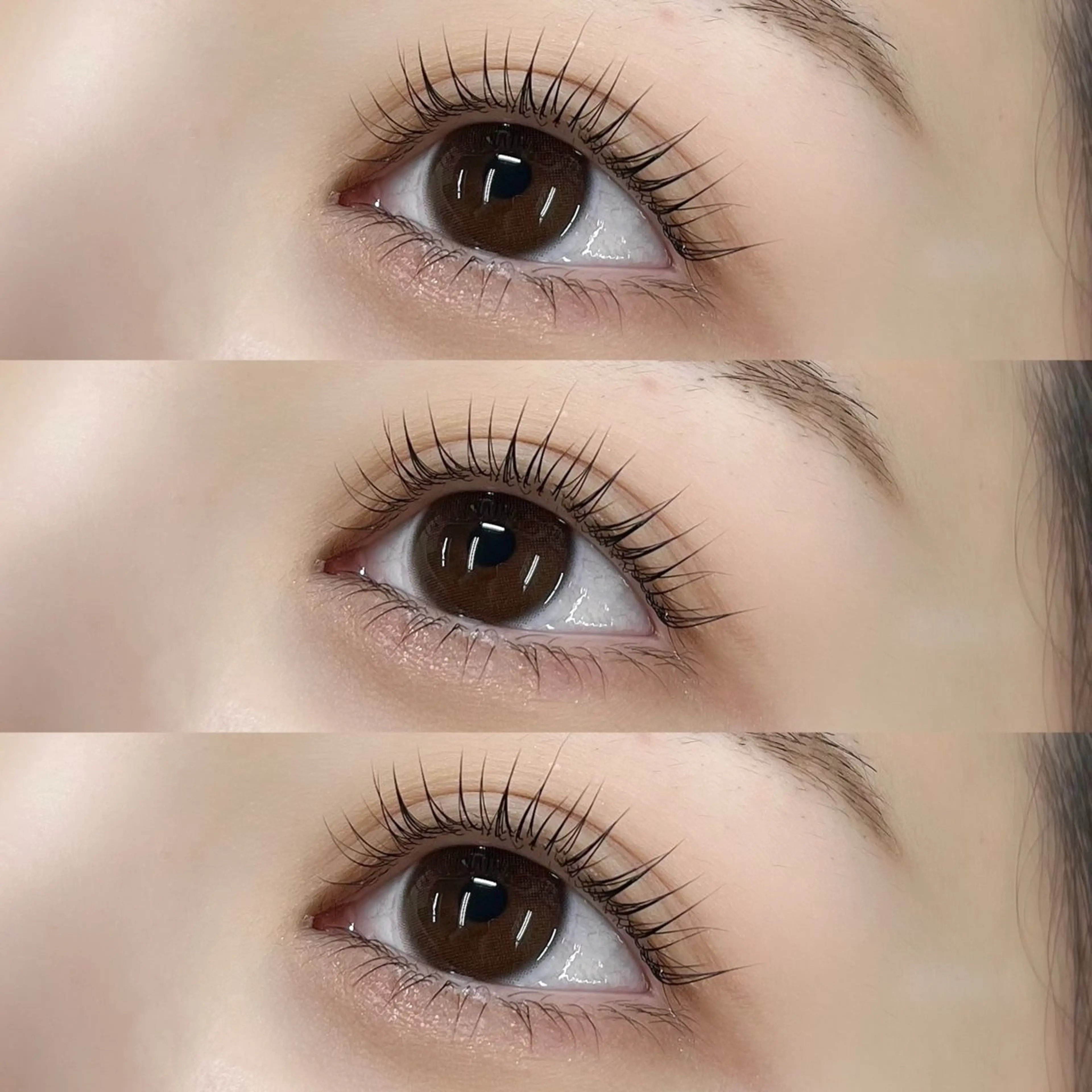 🦋🫐【マツパ・上下パーマ】上まつ毛×下まつ毛パーマorパリジェンヌ ￥8160☆90分🫐🦋の写真