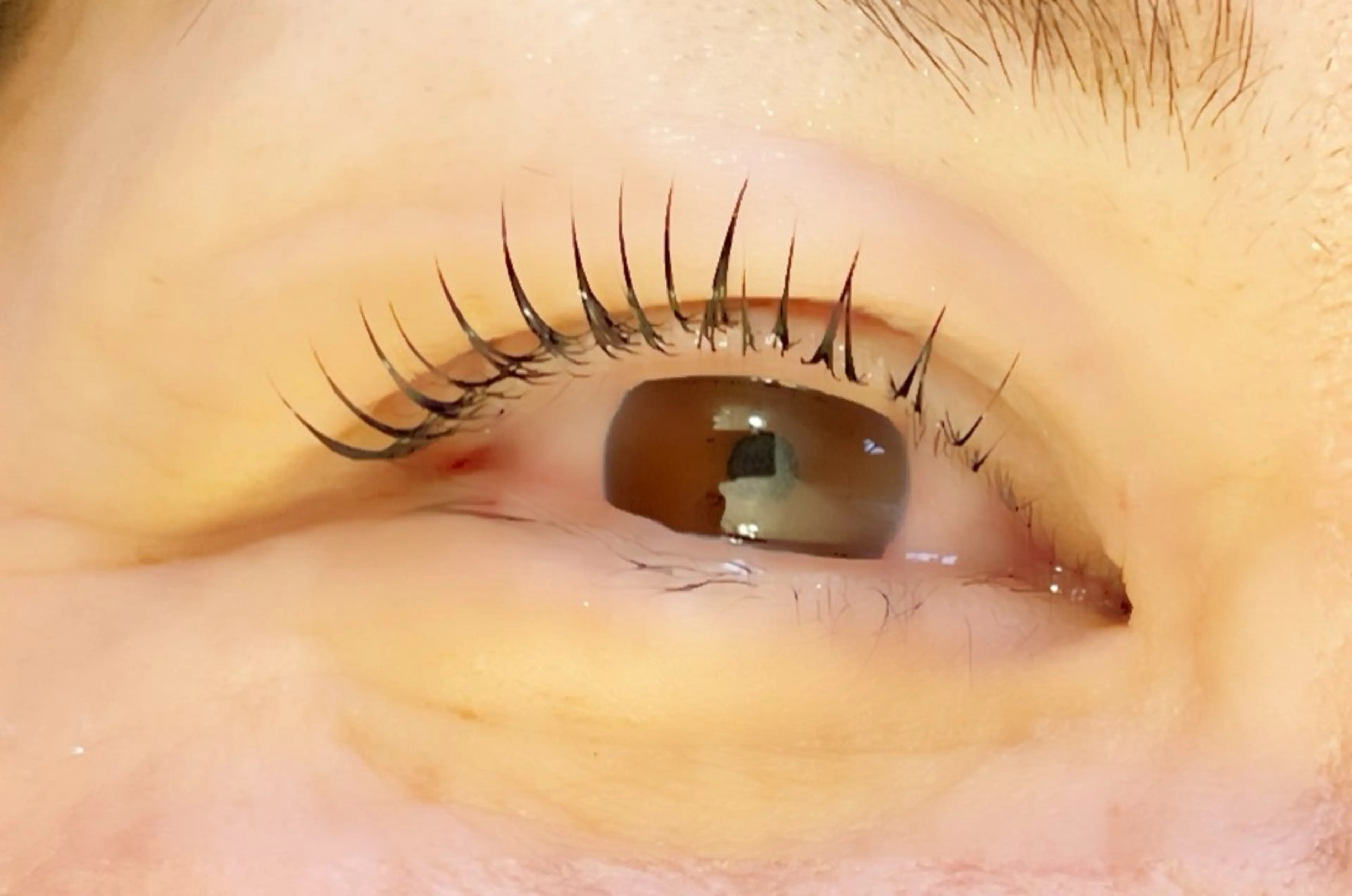 マツエク・マツパ マツパ Mresyume MAYUのマツエク・マツパデザイン