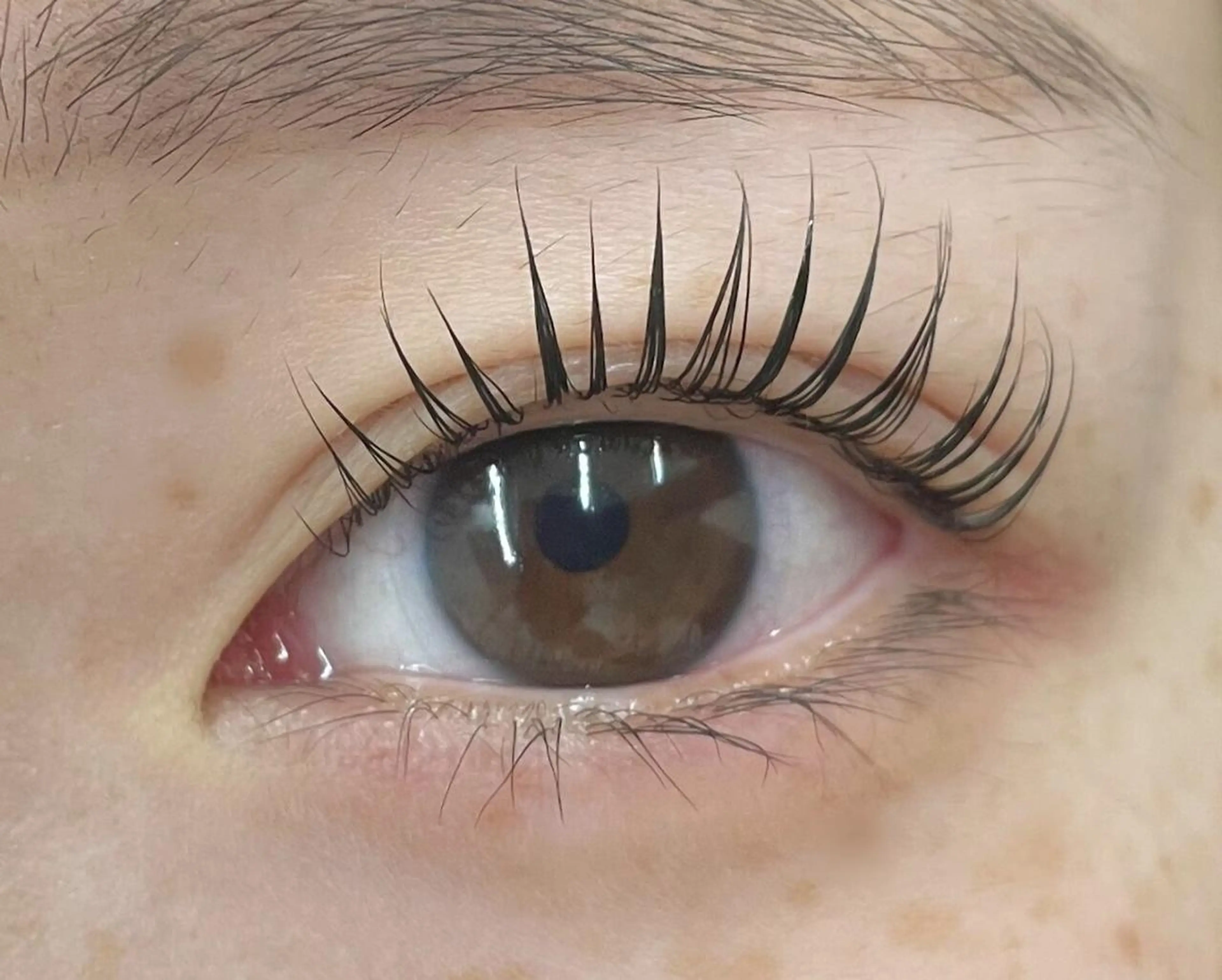 マツエク・マツパ マツパ mila.池袋LED エクステ・イガラシのマツエク・マツパデザイン