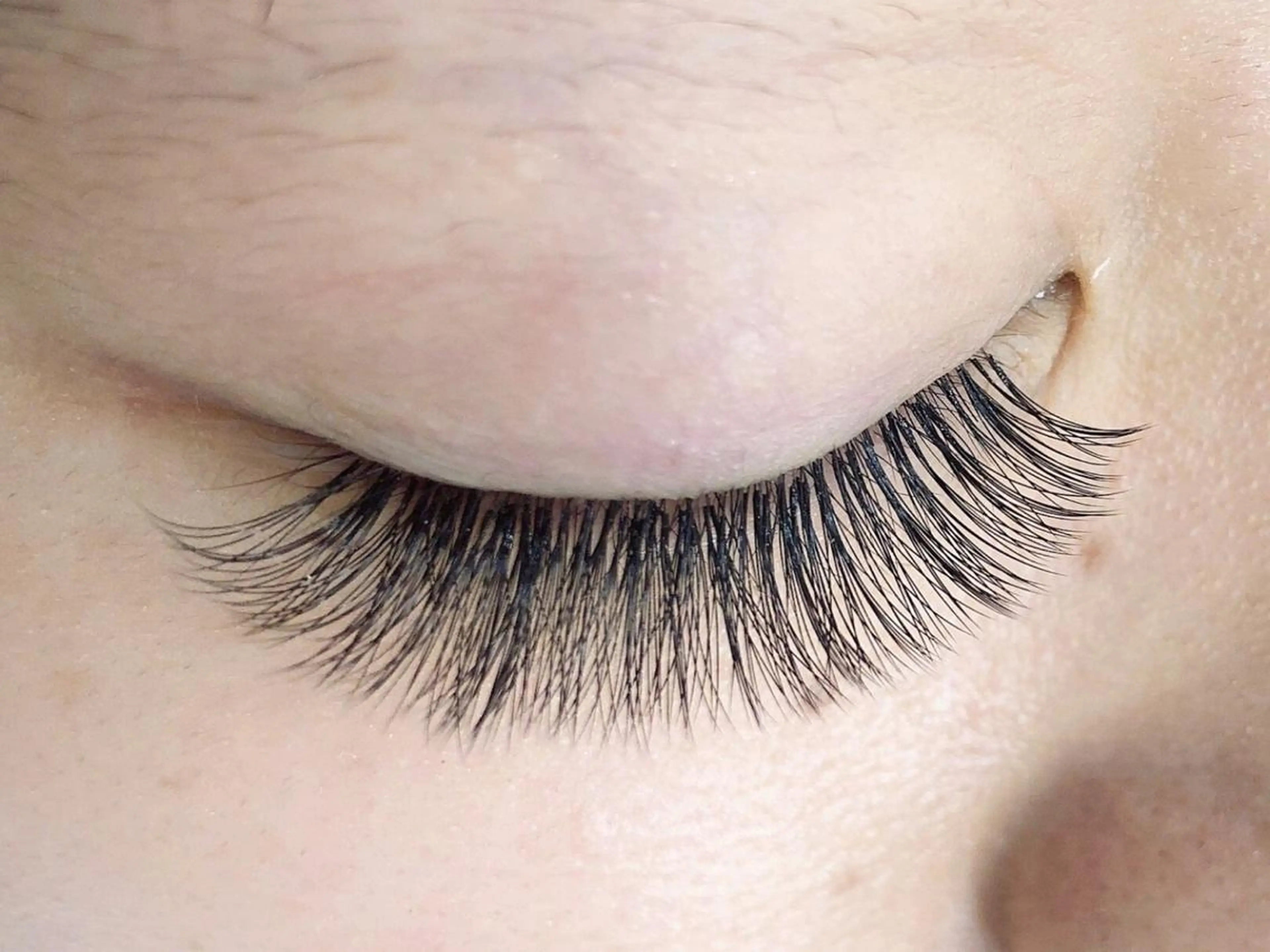 ボリュームラッシュ　ナチュラル100束の写真