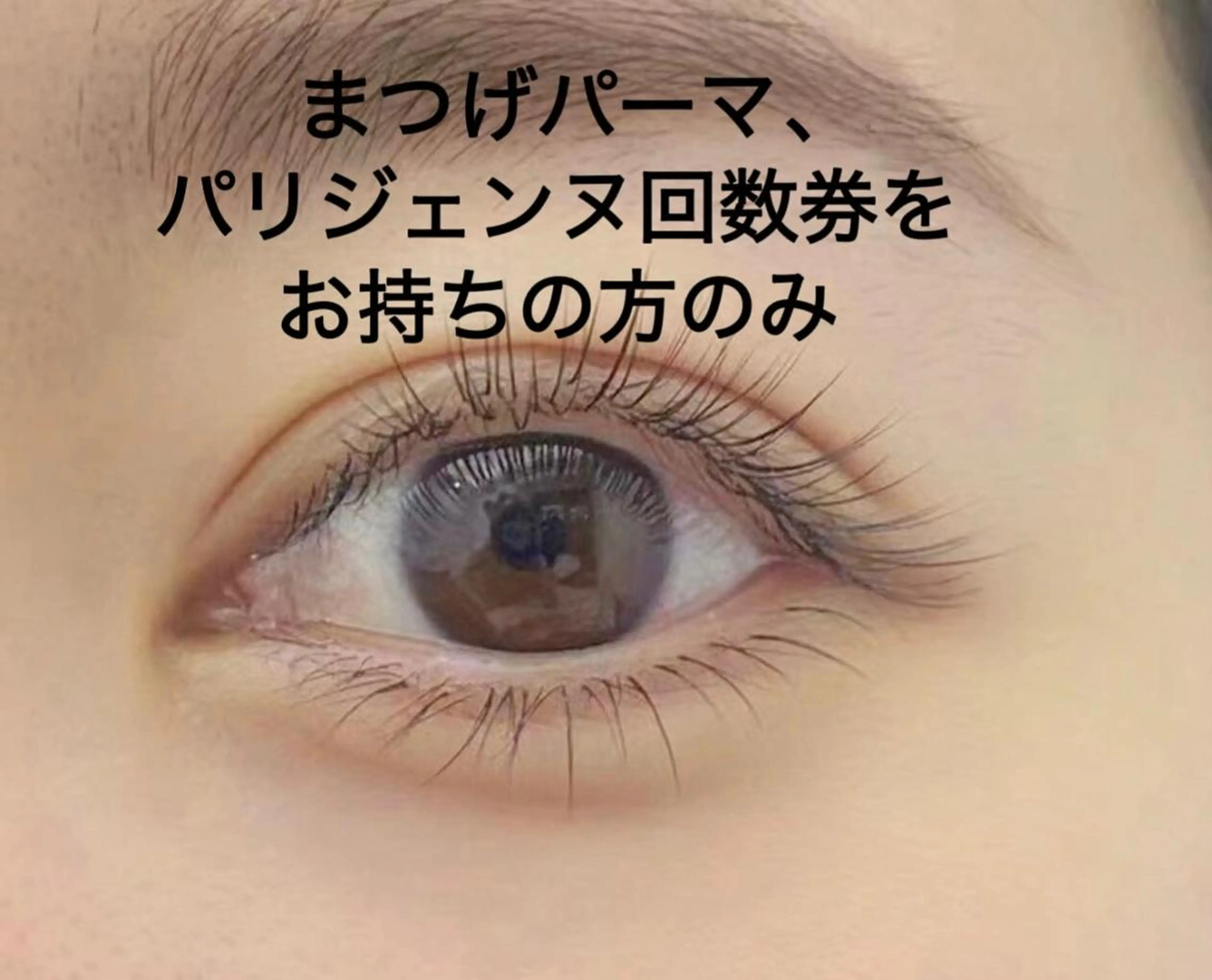 まつげパーマ/パリジェンヌ(上)回数券をお持ちの方(⚠️回数券をご購入された方のみご予約可能となっております⚠️)の写真