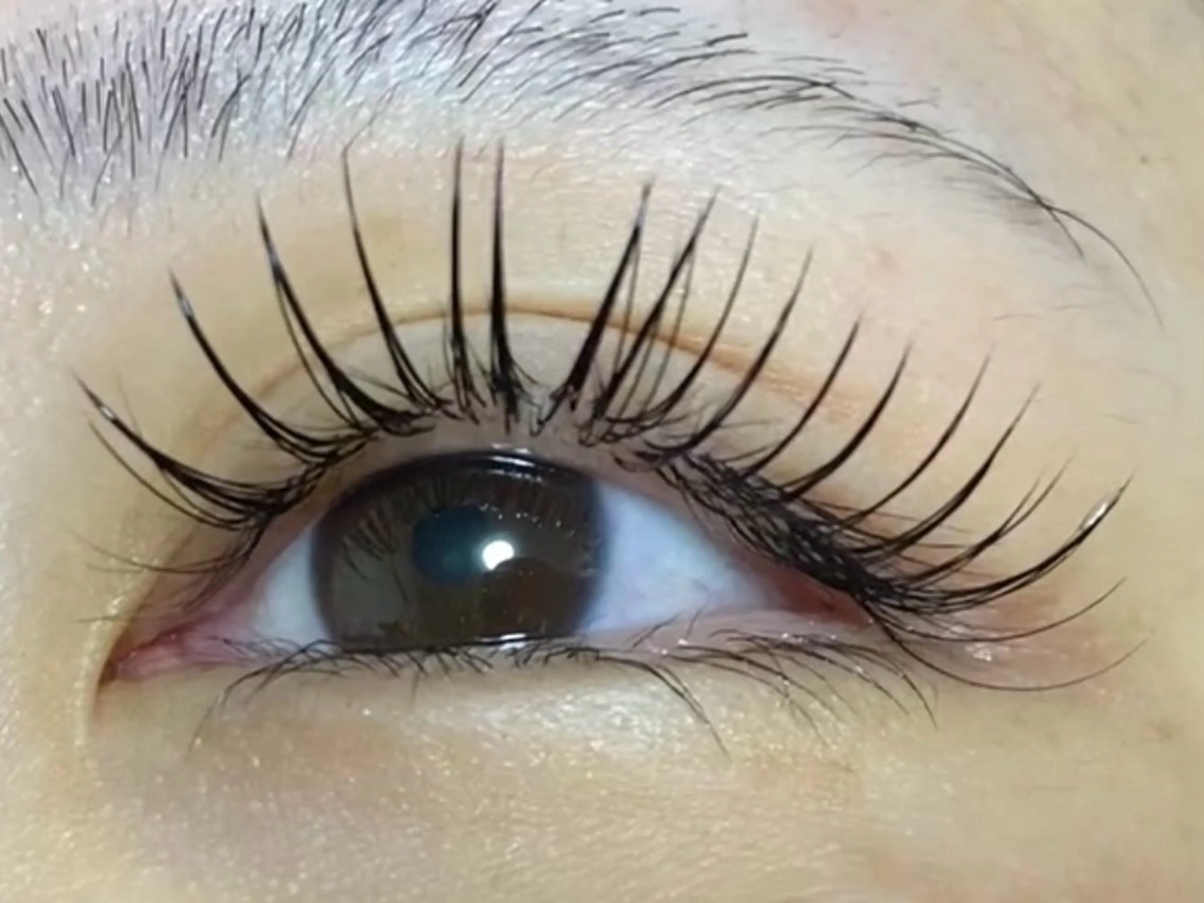 マツエク・マツパ Cカール フラットラッシュ BELINDA 小倉綾乃のその他イメージ