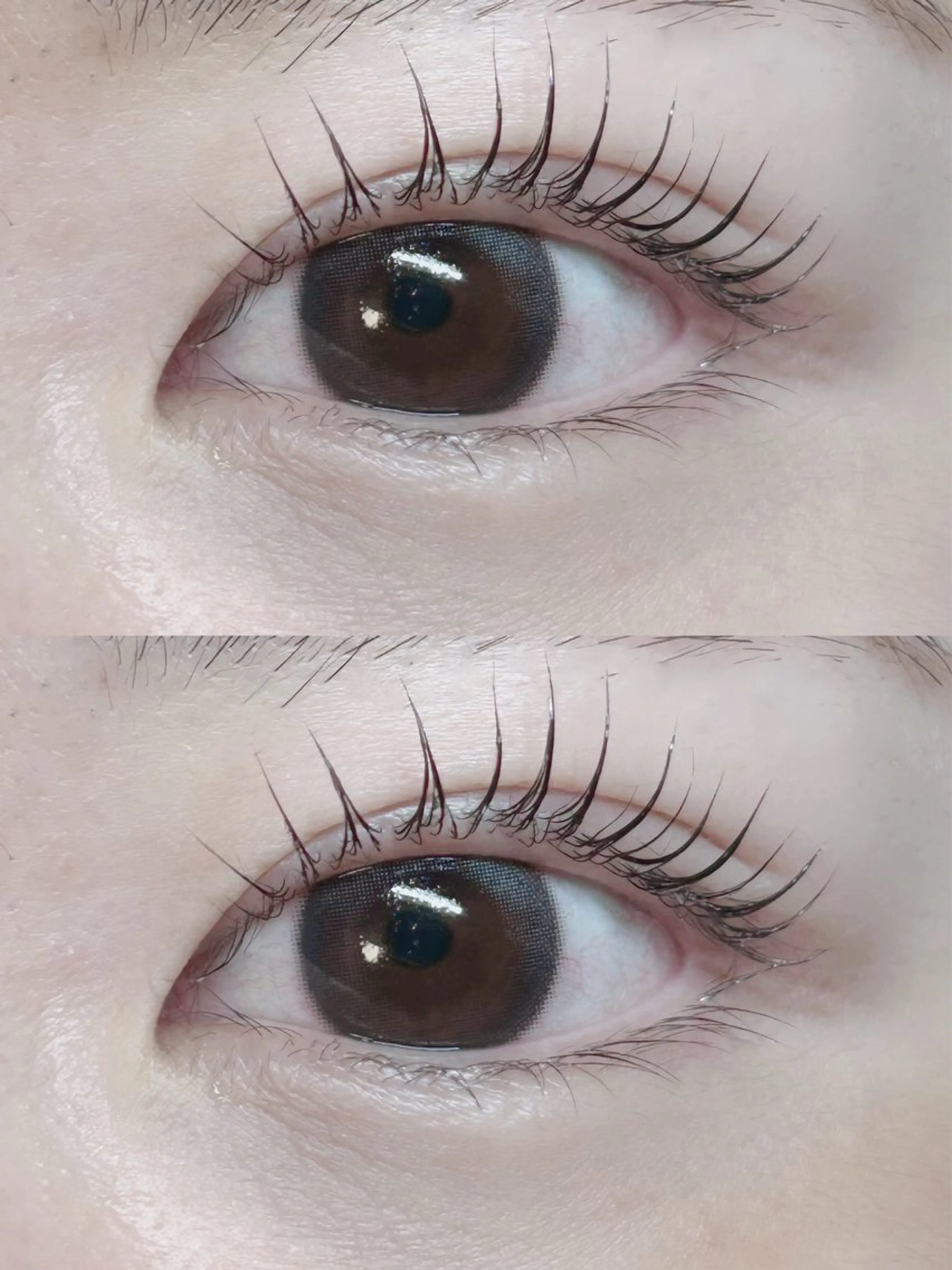 マツエク・マツパ ワンホンデザイン 専門店 FOIのマツエク・マツパデザイン