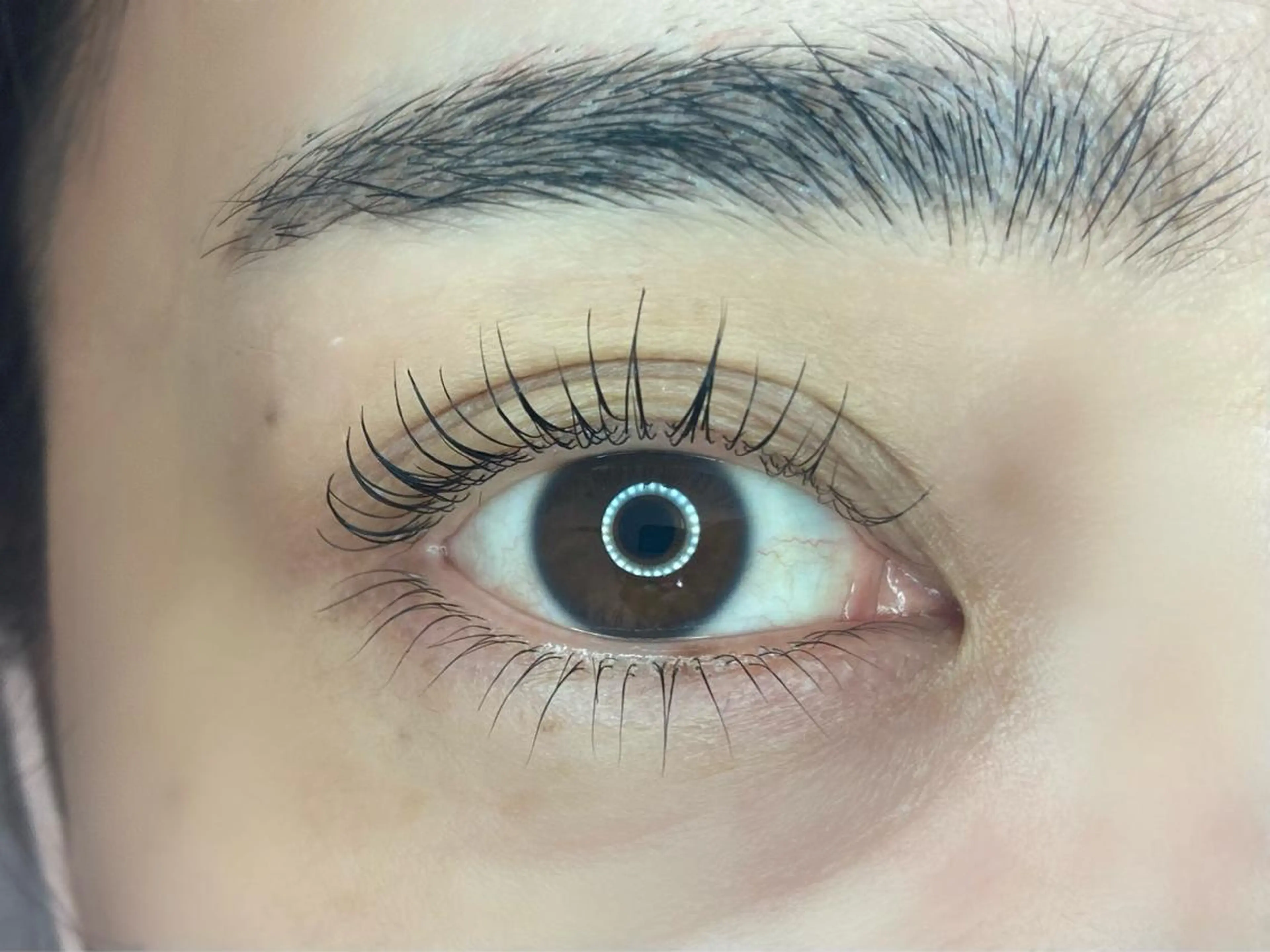 マツエク・マツパ マツパ Lupinus 長澤のマツエク・マツパデザイン