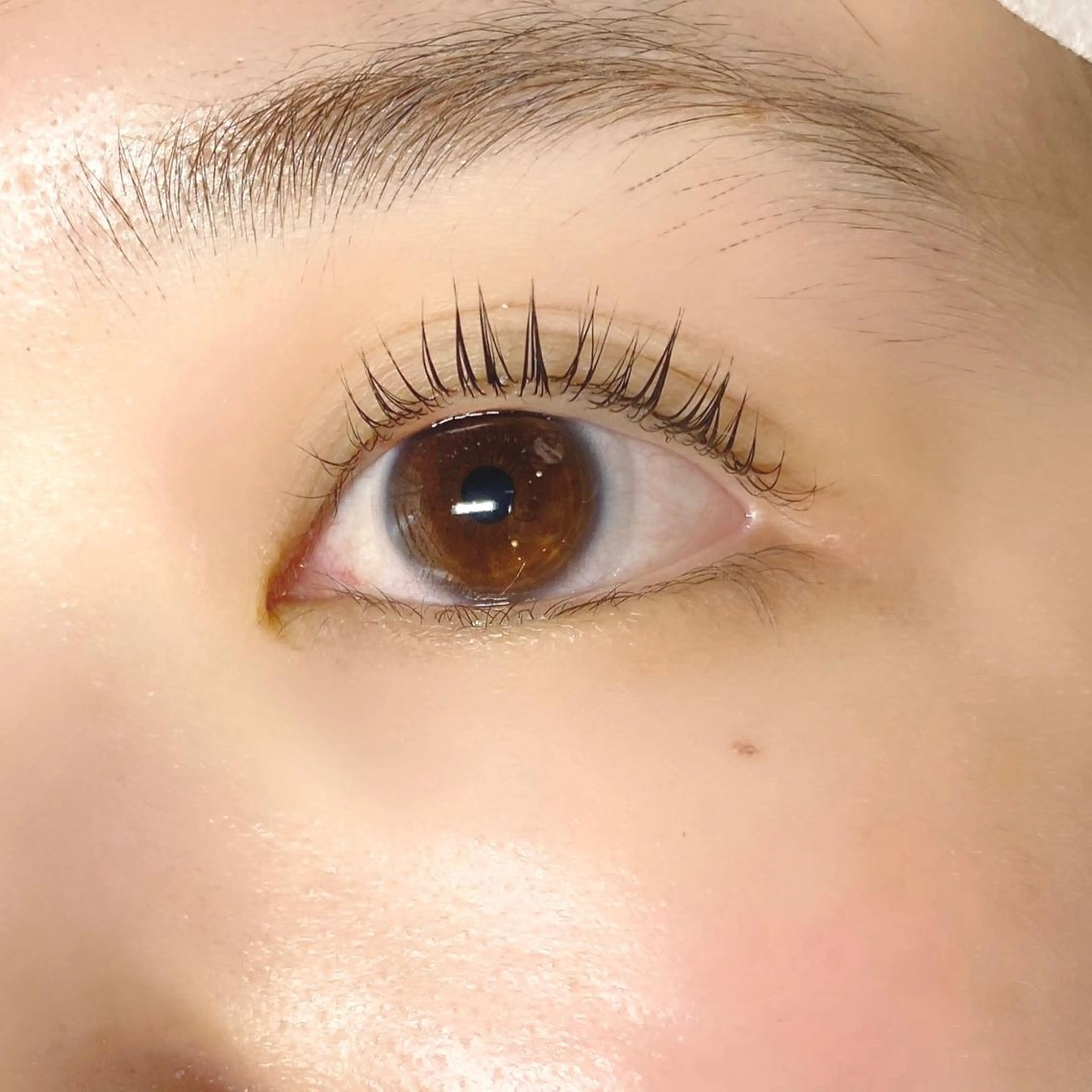 マツエク・マツパ パリジェンヌラッシュリフト まつげパーマ Matsuo Saeの眉毛・アイブロウイメージ