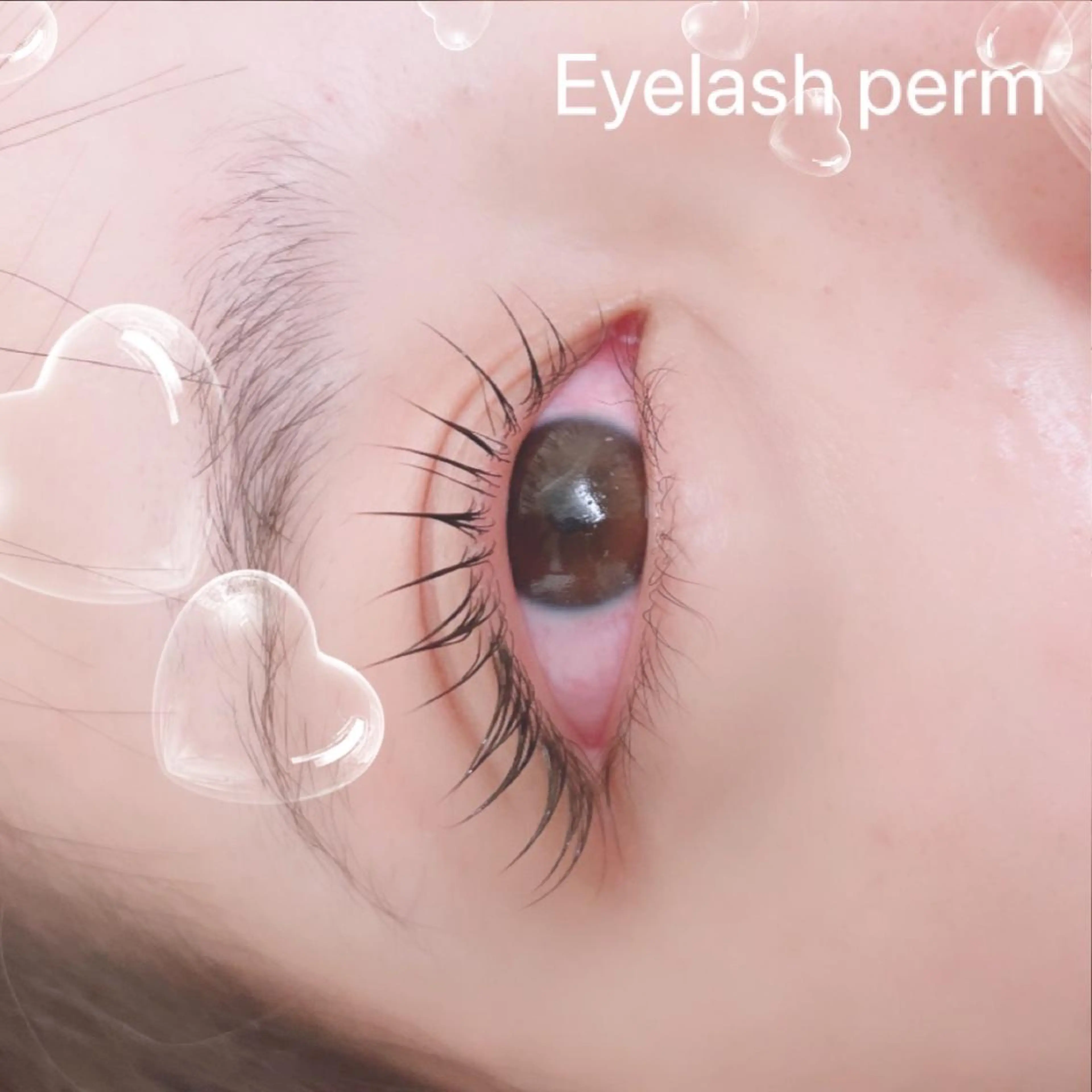 マツエク・マツパ Sylph　井関 唯のマツエク・マツパデザイン