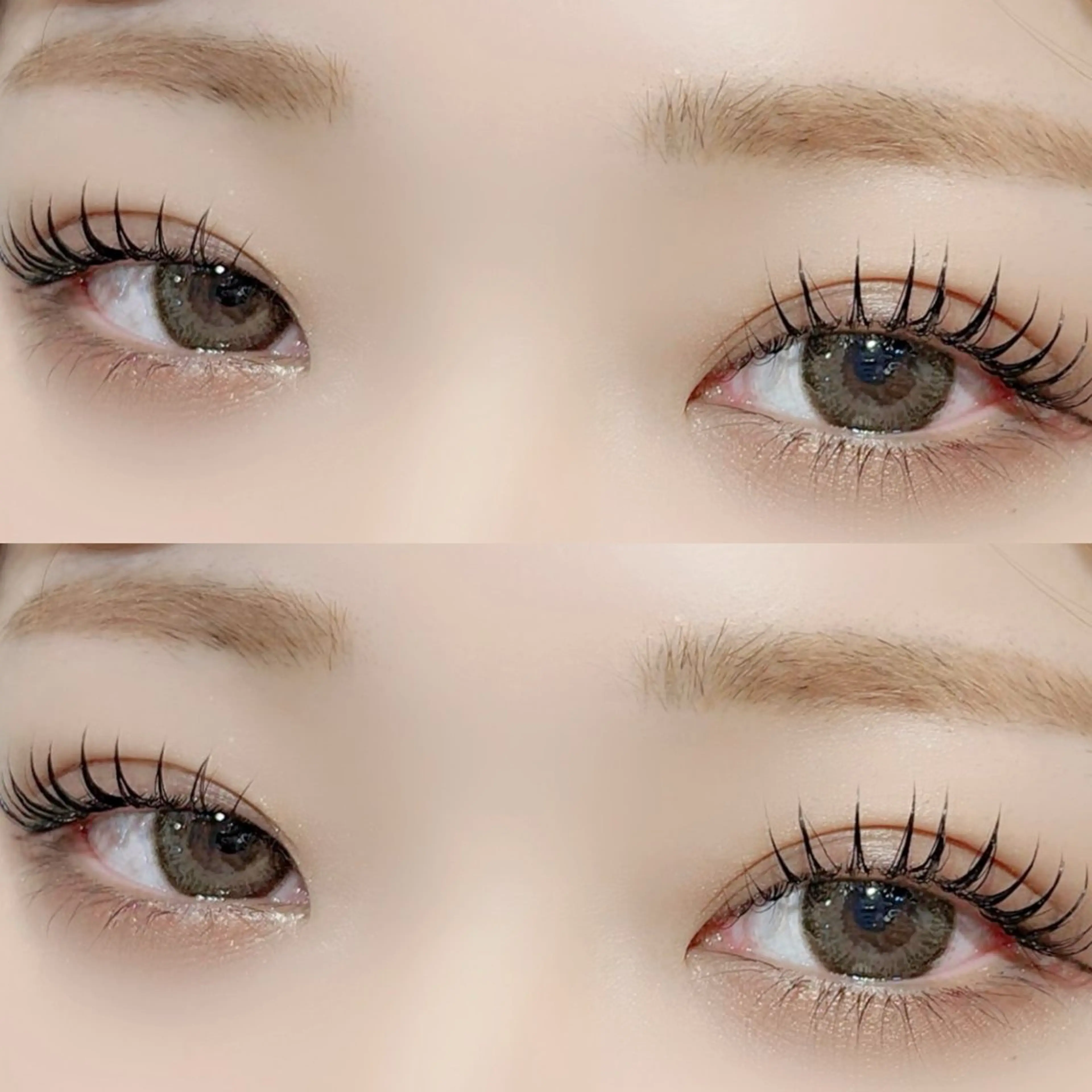 【❌オフなし】話題沸騰🌟アンドヘルシー(&Healthy) ダブルラッシュ80​〜​100束🎀セパレートor束仕上げの写真