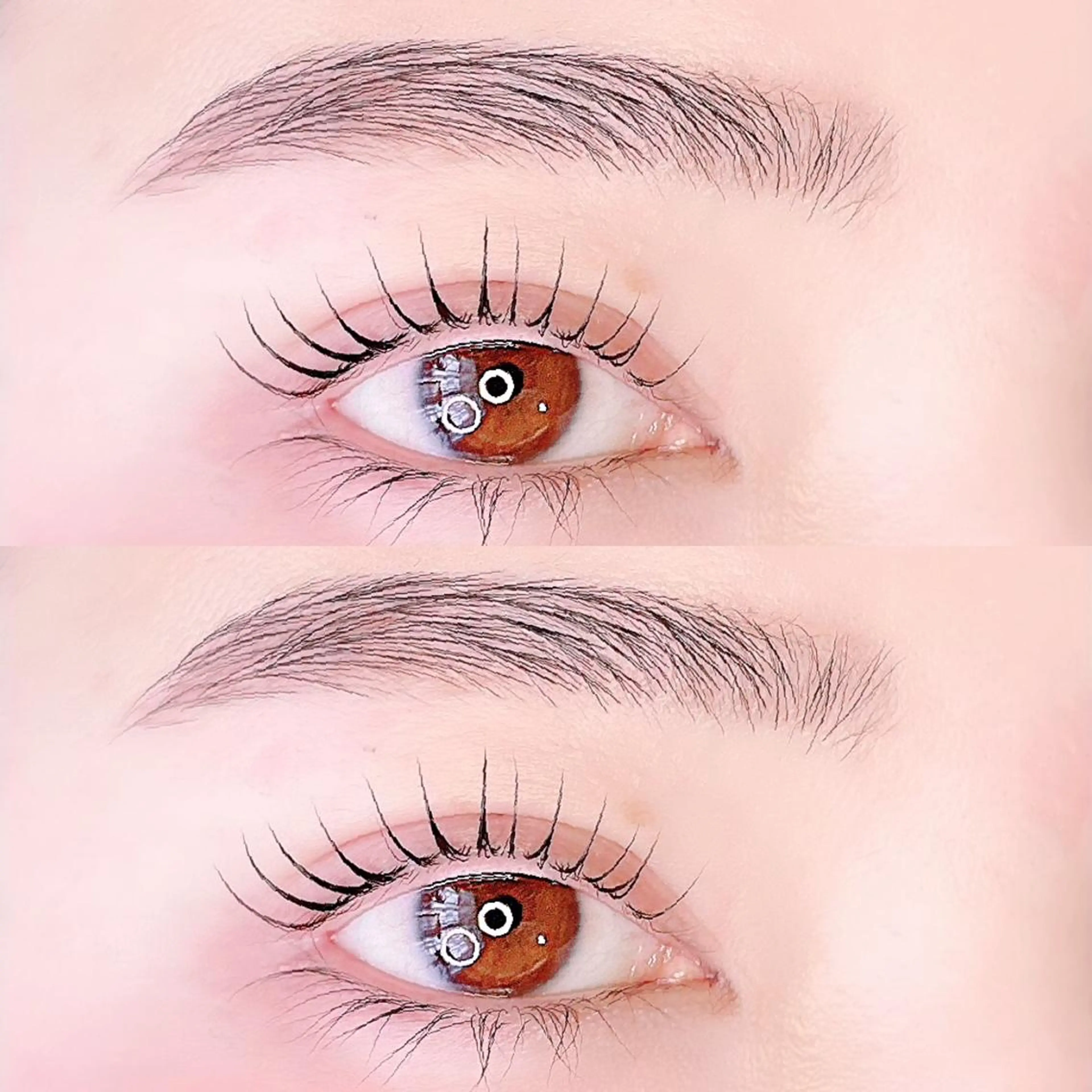 セットでお得⭐︎ラッシュリフト/パリジェンヌ&アイブロウワックス（トリートメント&眉メイク付き）の写真