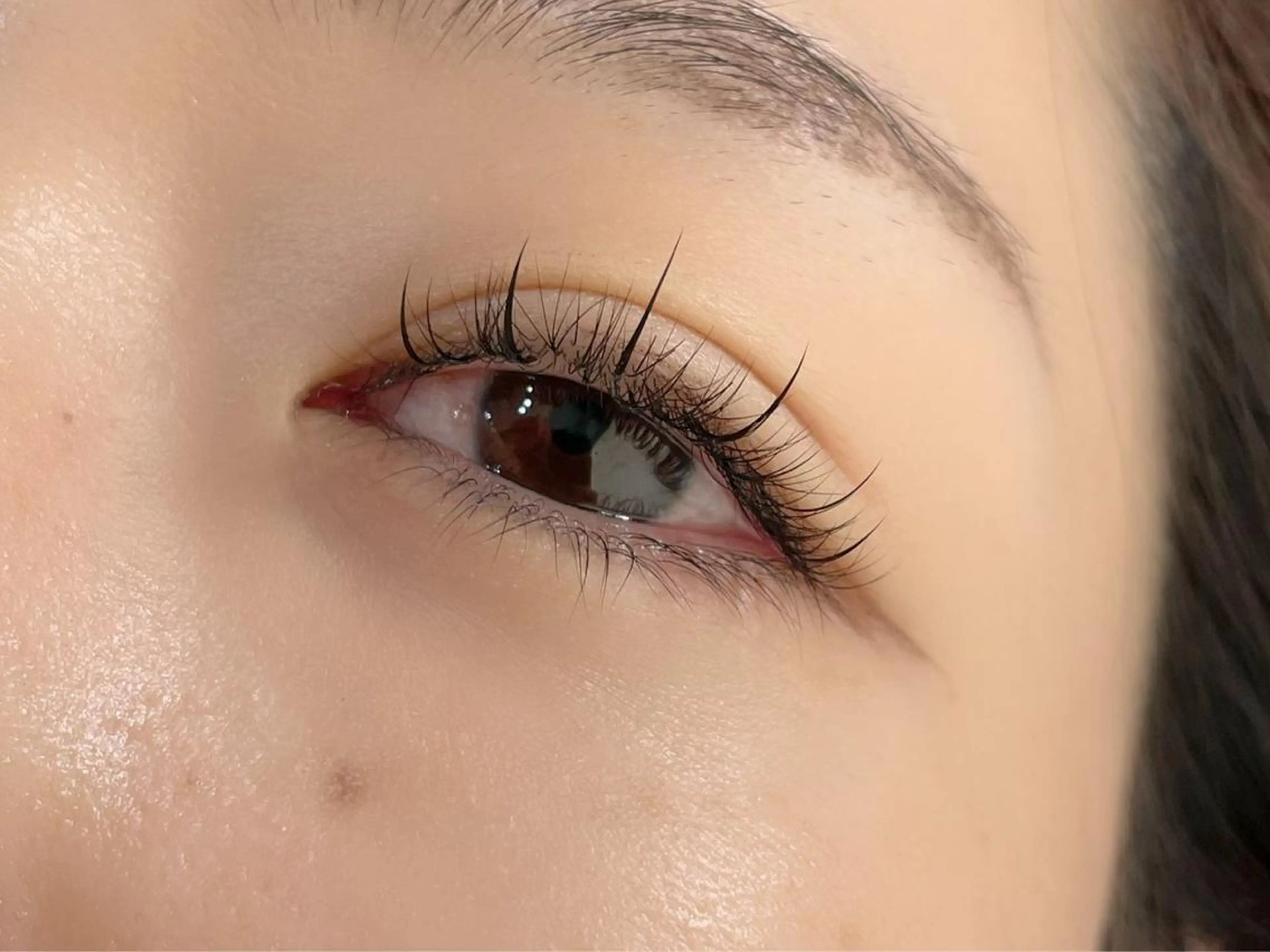 ワンホン80束【オフなし】の写真