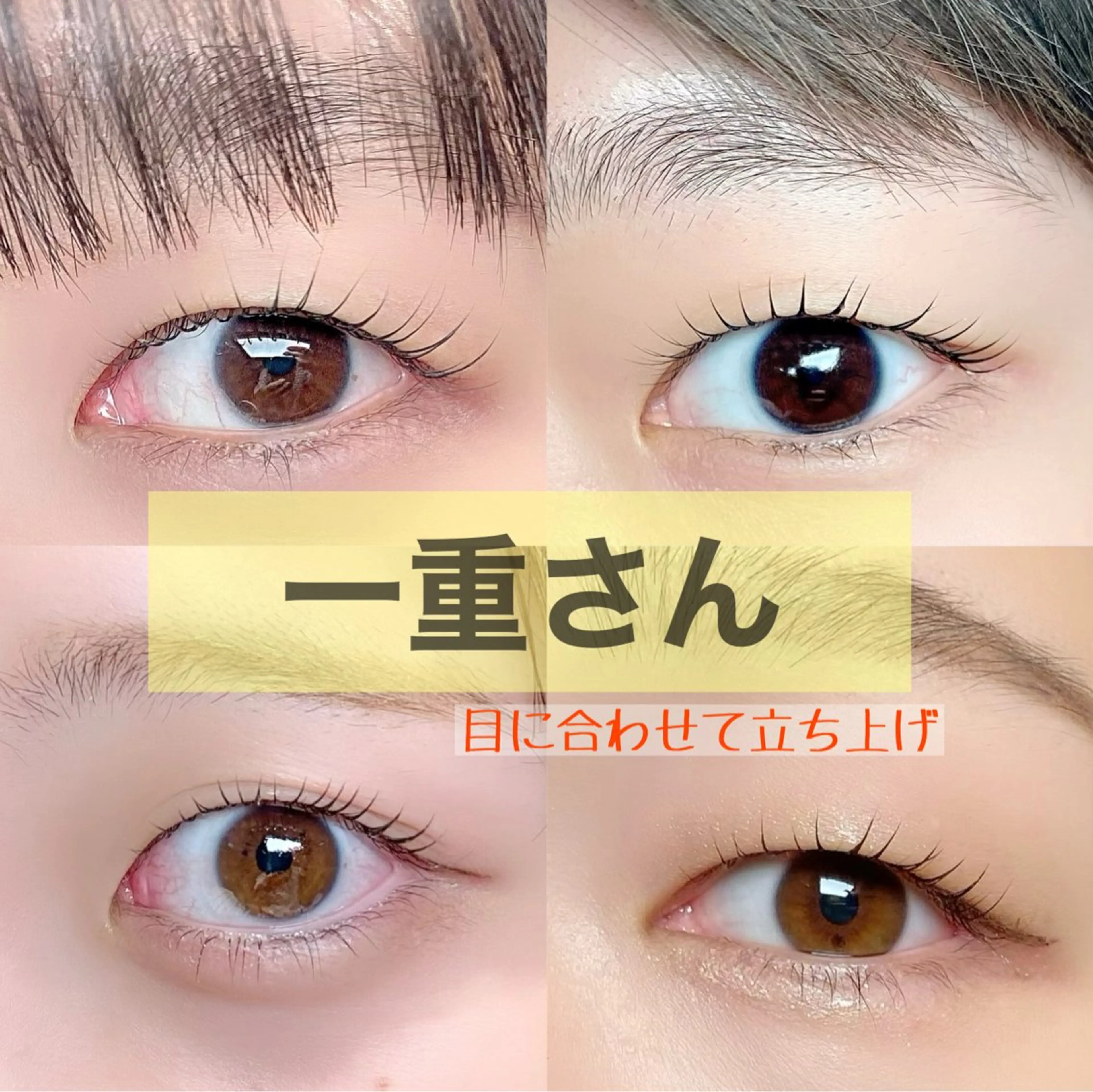 マツエク・マツパ マツパ 束感パリジェンヌ上下 恵比寿ayakaのマツエク・マツパデザイン