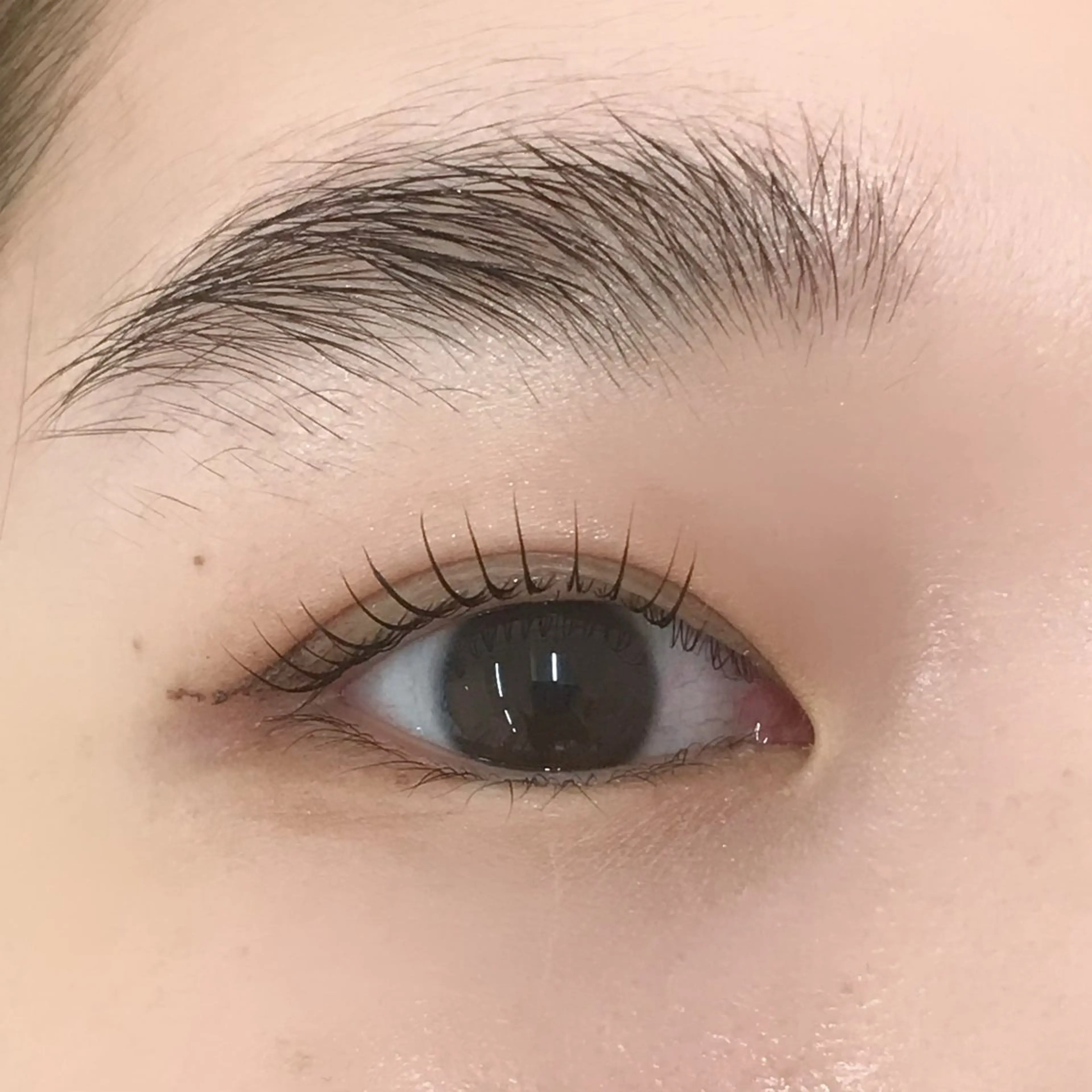 マツエク・マツパ uland yuzukiの眉毛・アイブロウイメージ