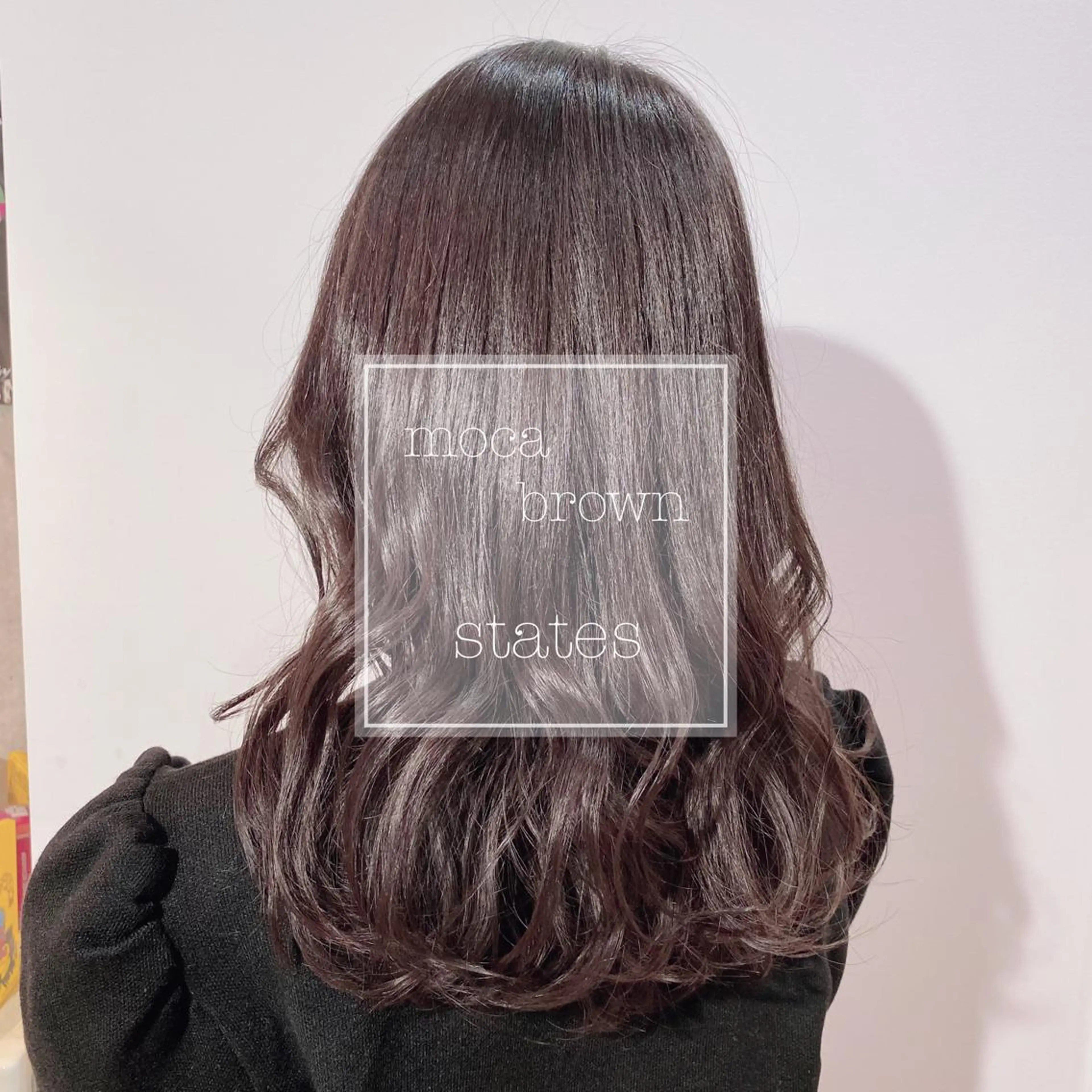 セミロング カラー 新宿/韓国風レイヤー 髪質改善/渋谷直樹のヘアスタイル