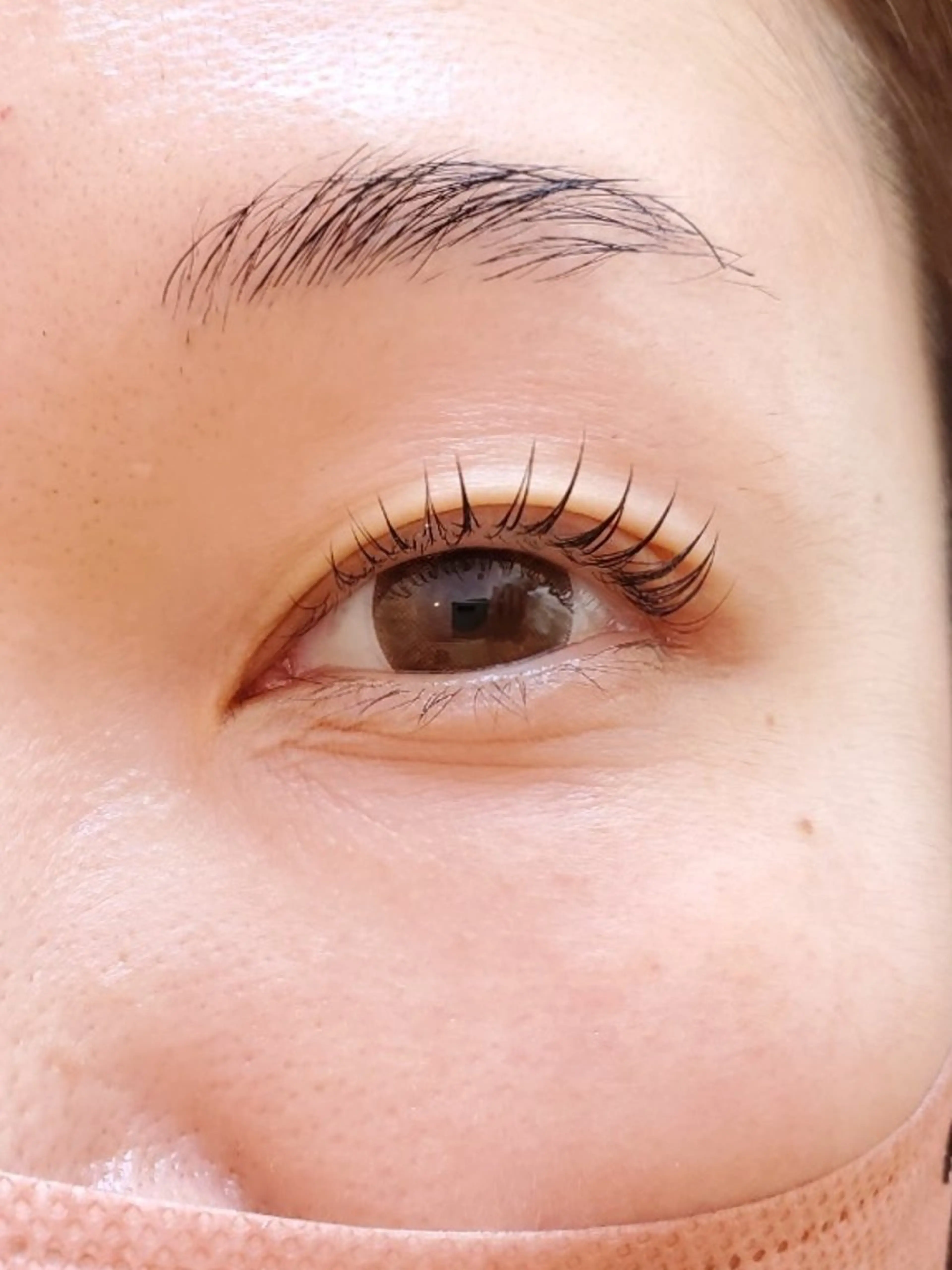 抗菌ラッシュリフトの写真